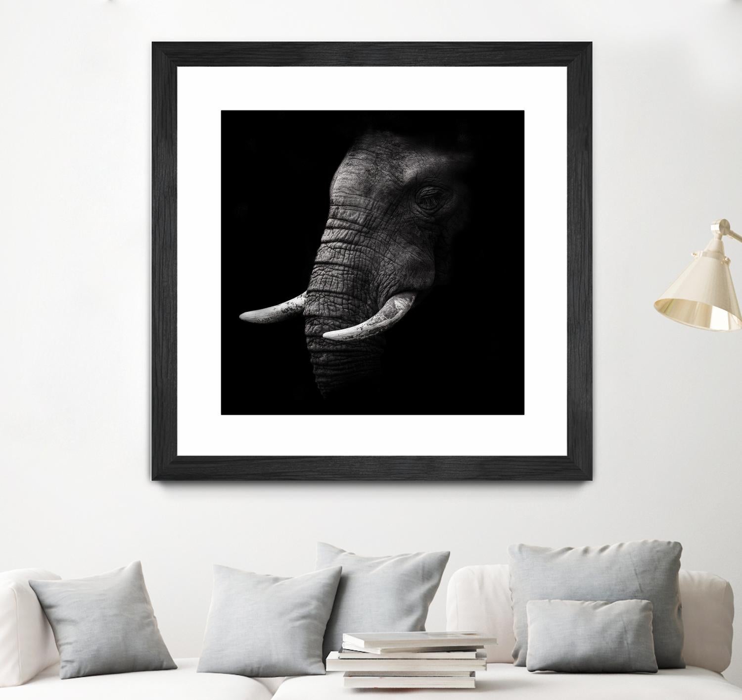 Portrait by WildPhotoArt on GIANT ART - white animal hear of elephant