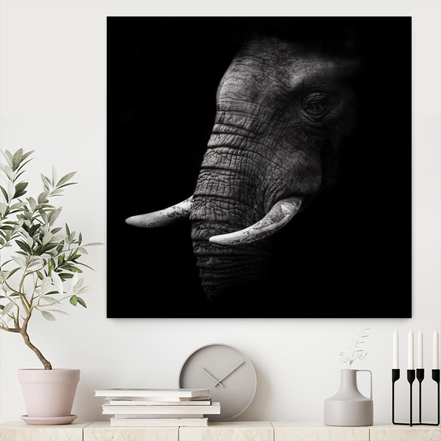 Portrait by WildPhotoArt on GIANT ART - white animal hear of elephant