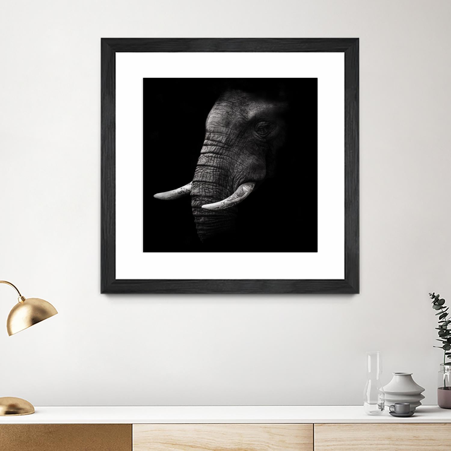 Portrait by WildPhotoArt on GIANT ART - white animal hear of elephant