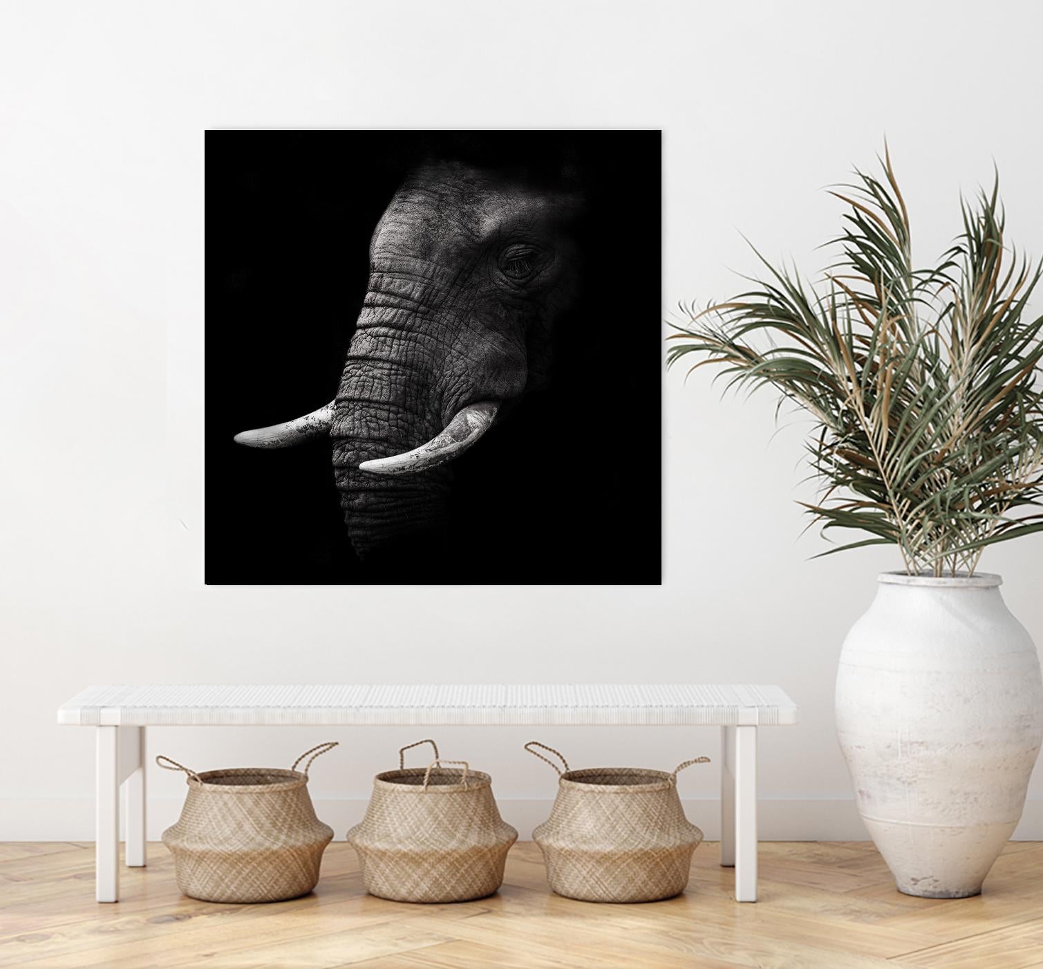 Portrait by WildPhotoArt on GIANT ART - white animal hear of elephant