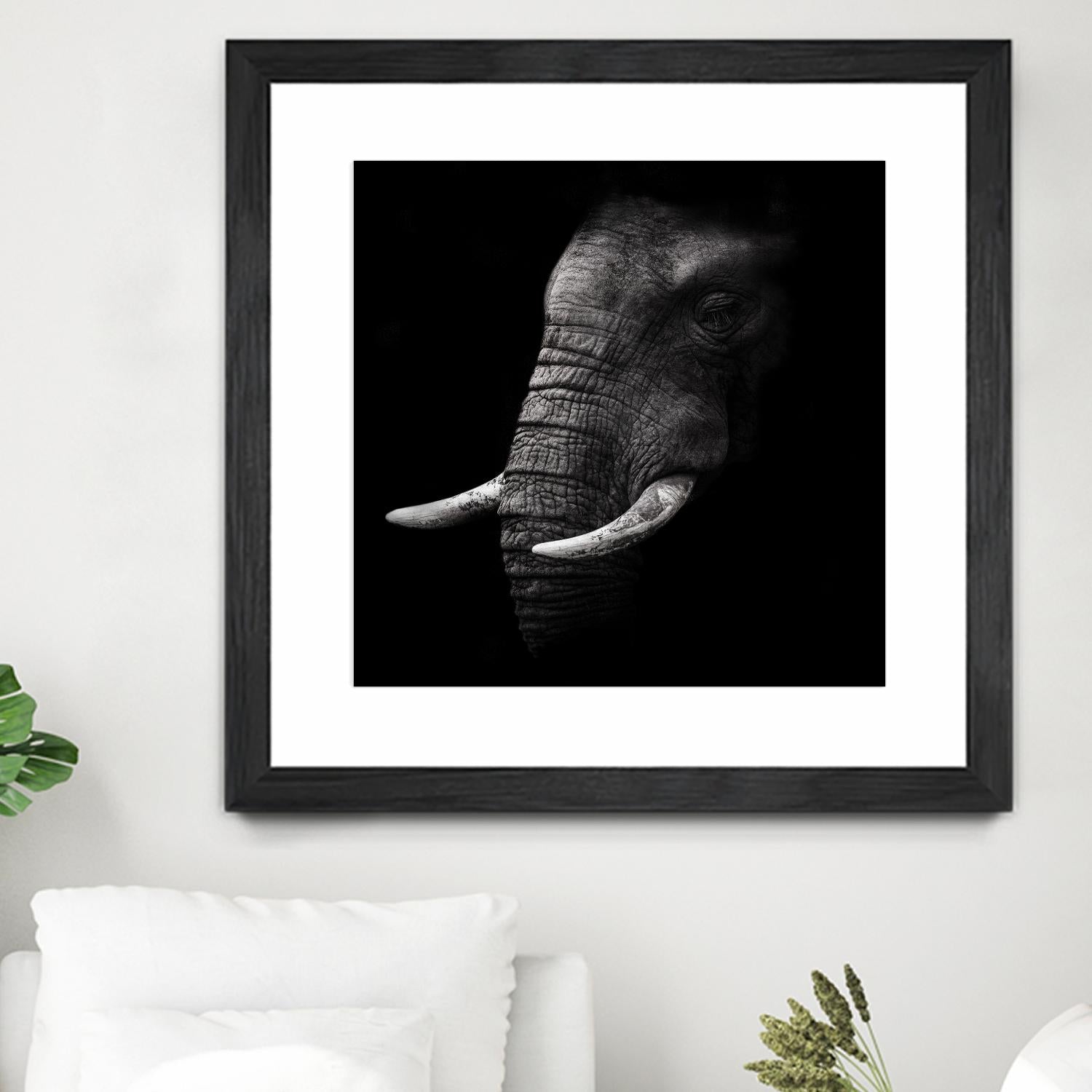 Portrait by WildPhotoArt on GIANT ART - white animal hear of elephant