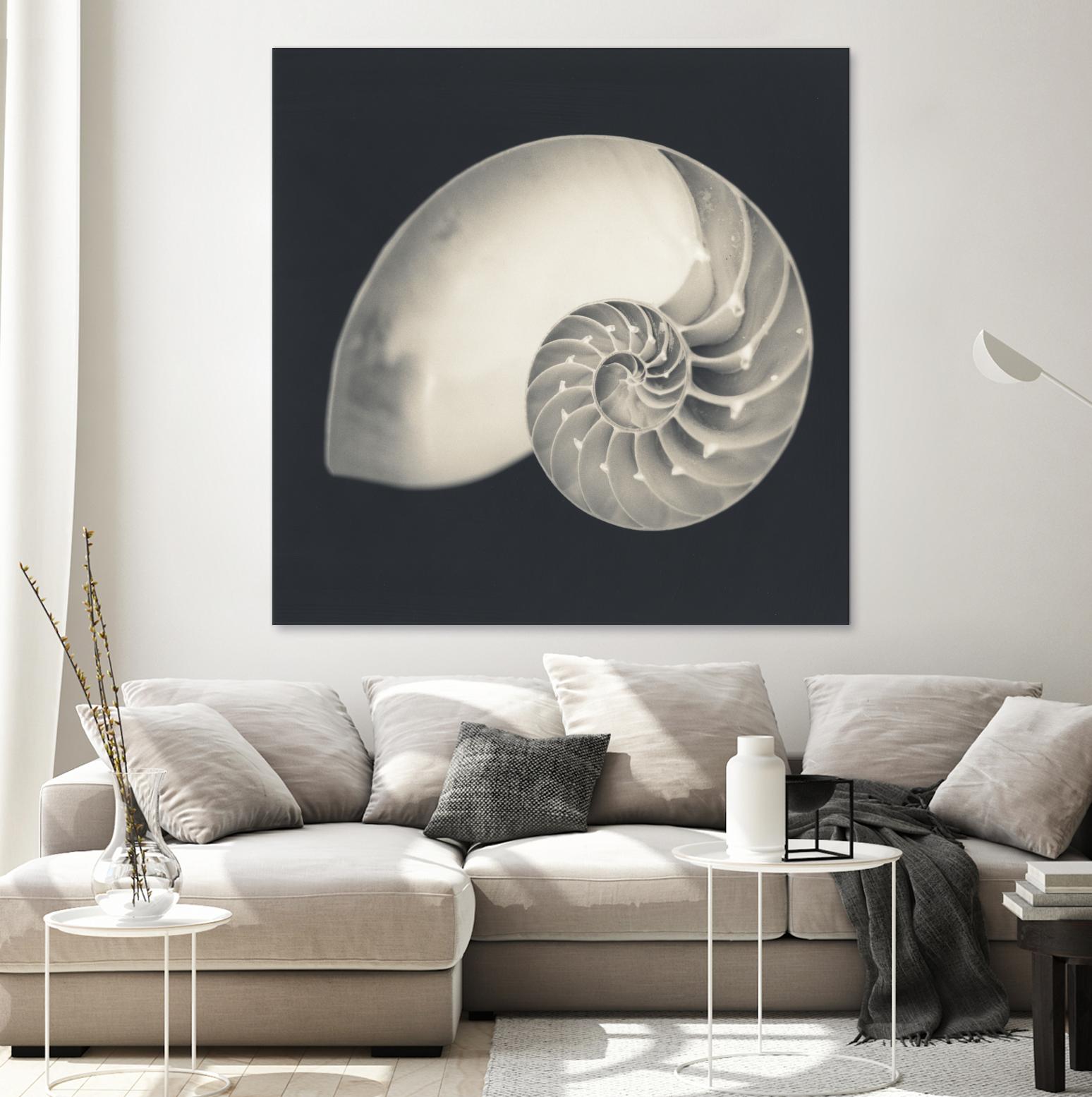 Shell I by YK Studio on GIANT ART - beige nautical