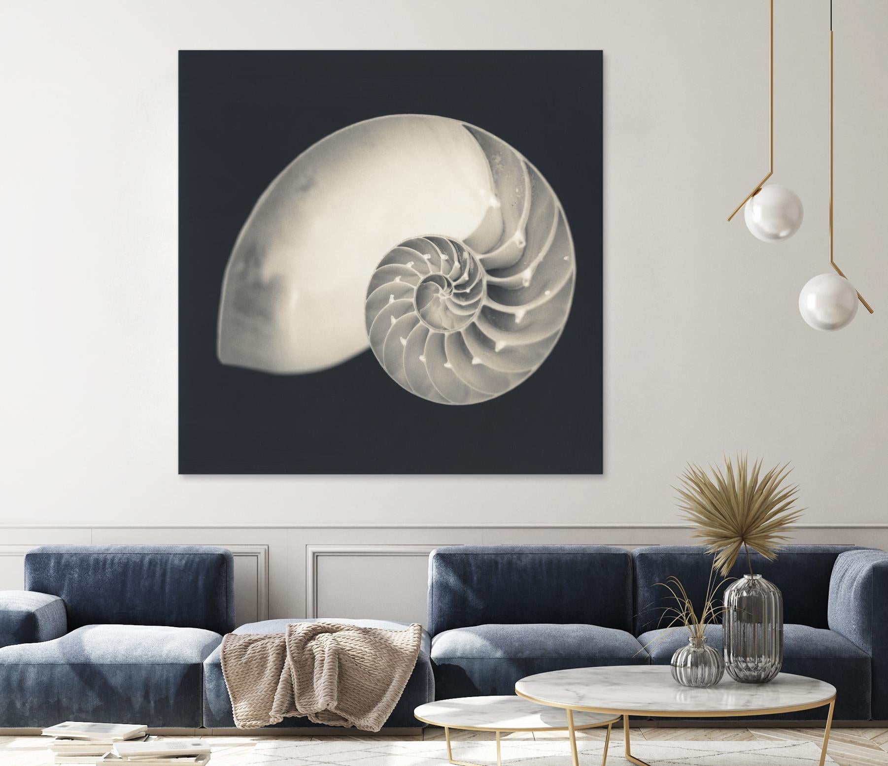 Shell I by YK Studio on GIANT ART - beige nautical