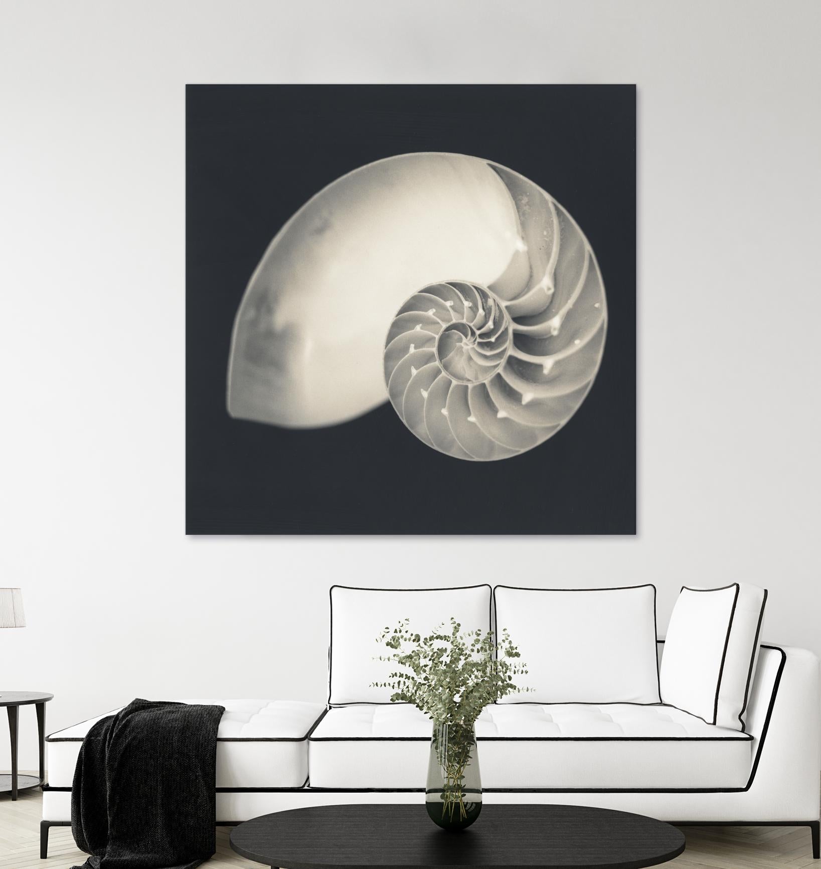 Shell I by YK Studio on GIANT ART - beige nautical