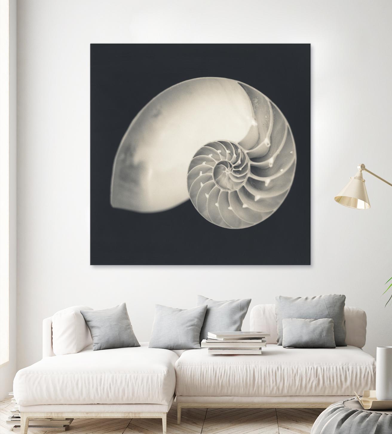 Shell I by YK Studio on GIANT ART - beige nautical