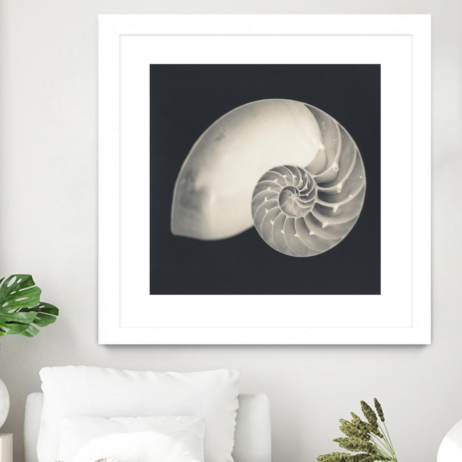 Shell I by YK Studio on GIANT ART - beige nautical