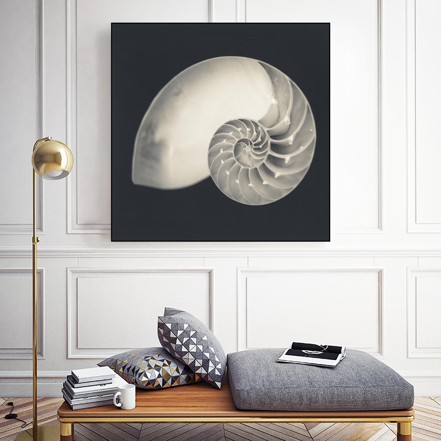 Shell I by YK Studio on GIANT ART - beige nautical