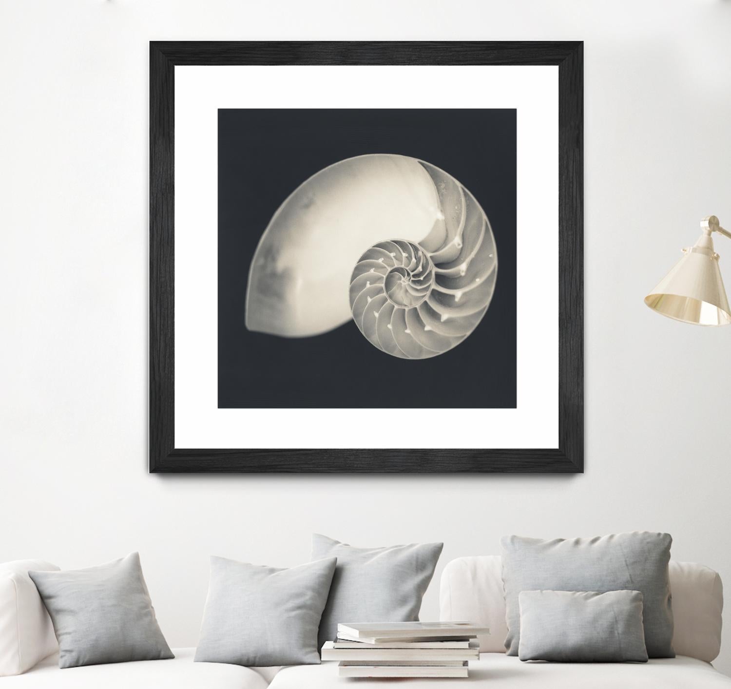 Shell I by YK Studio on GIANT ART - beige nautical