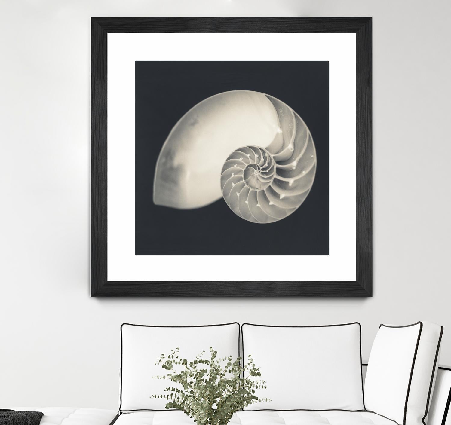 Shell I by YK Studio on GIANT ART - beige nautical