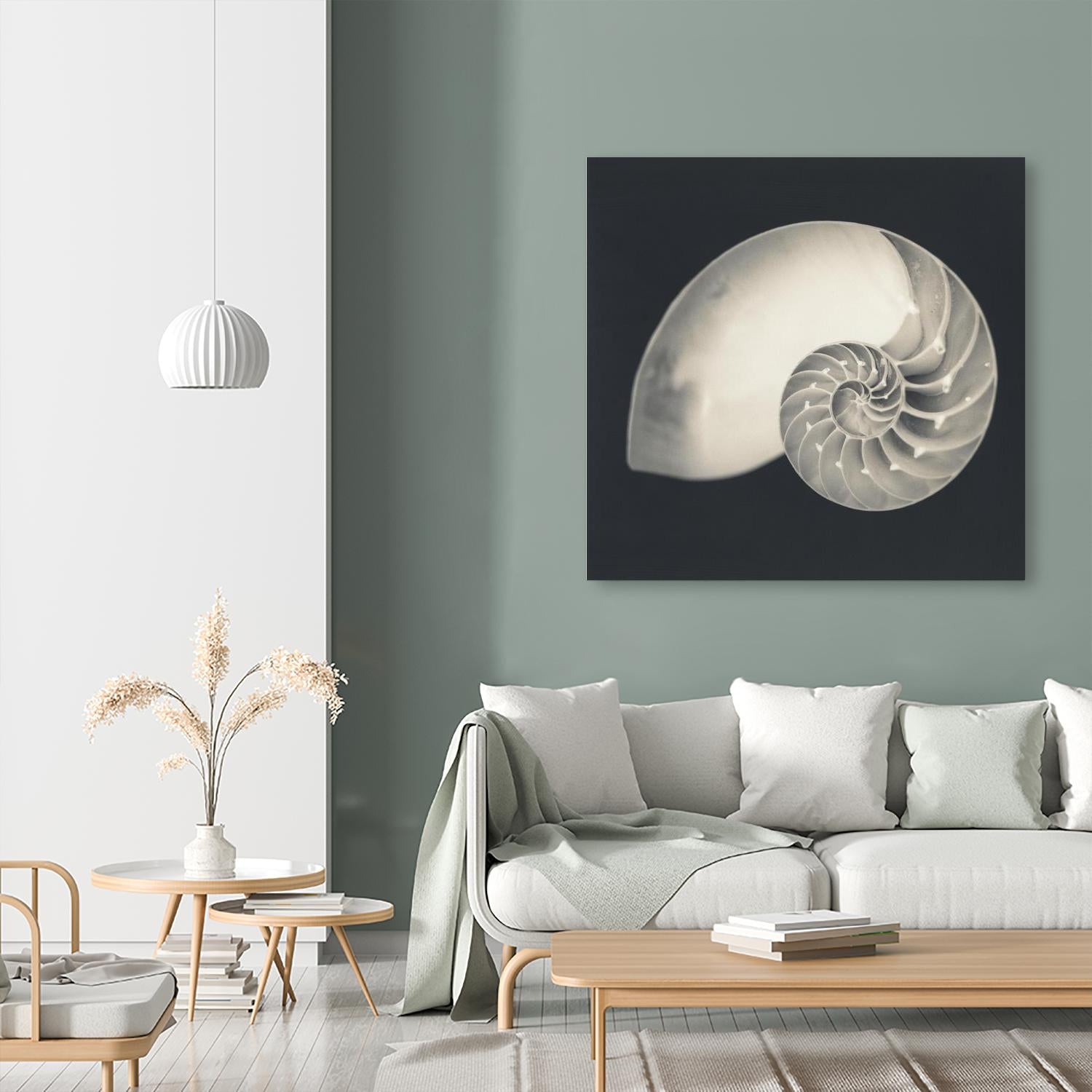 Shell I by YK Studio on GIANT ART - beige nautical