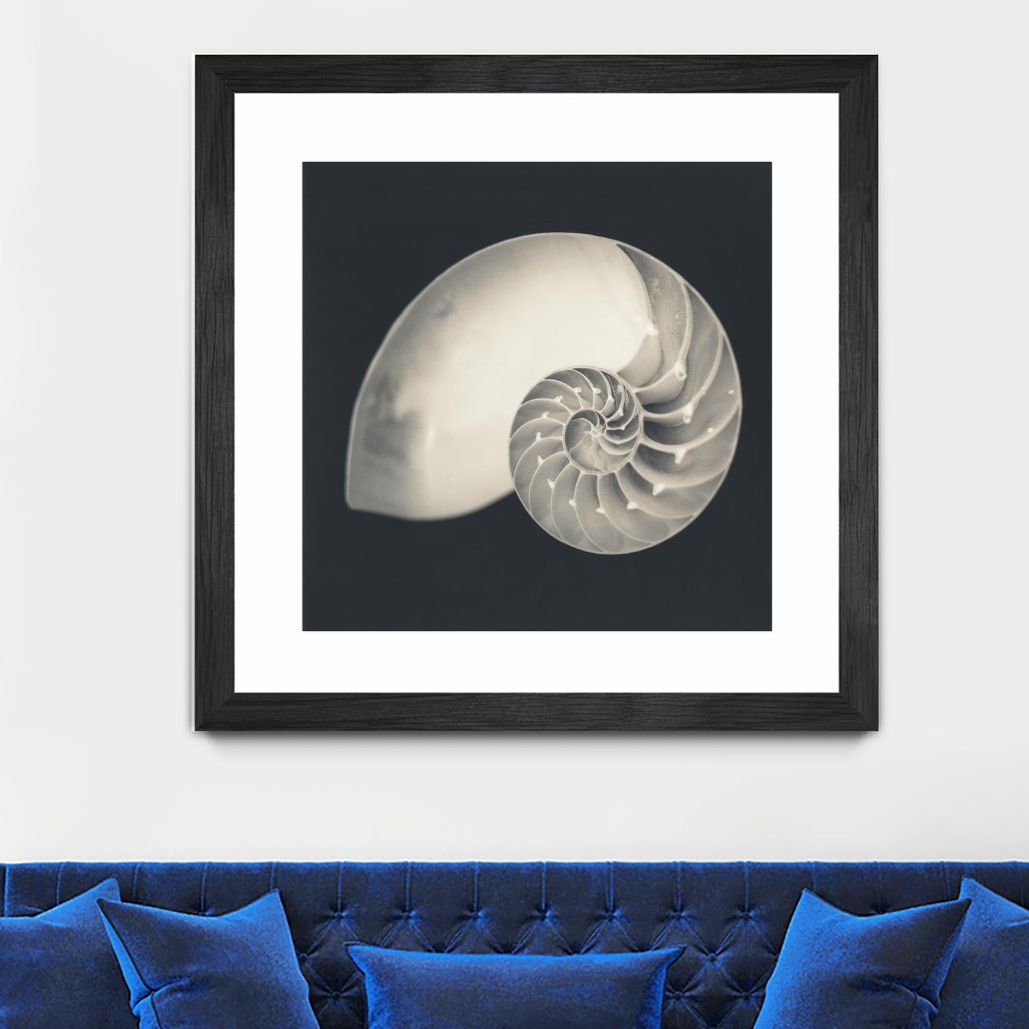 Shell I by YK Studio on GIANT ART - beige nautical