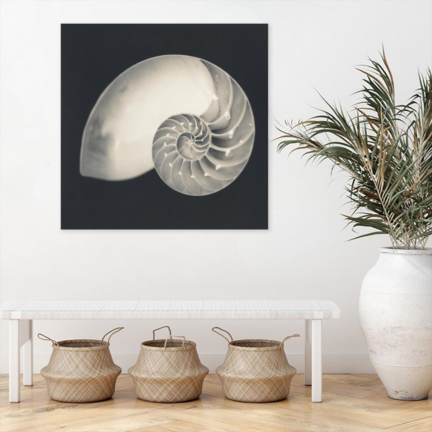 Shell I by YK Studio on GIANT ART - beige nautical