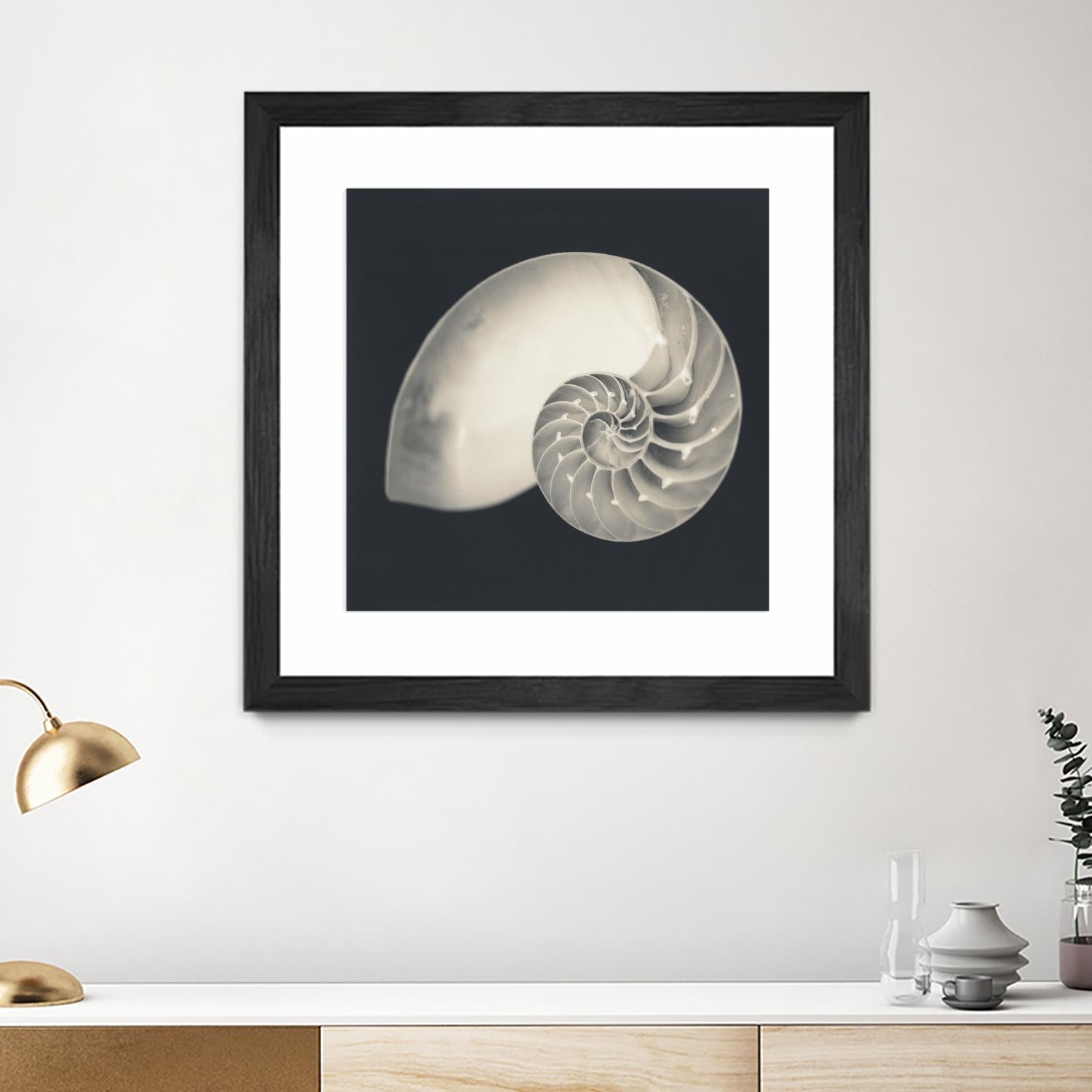 Shell I by YK Studio on GIANT ART - beige nautical