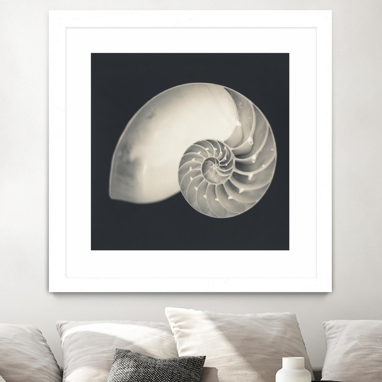 Shell I by YK Studio on GIANT ART - beige nautical