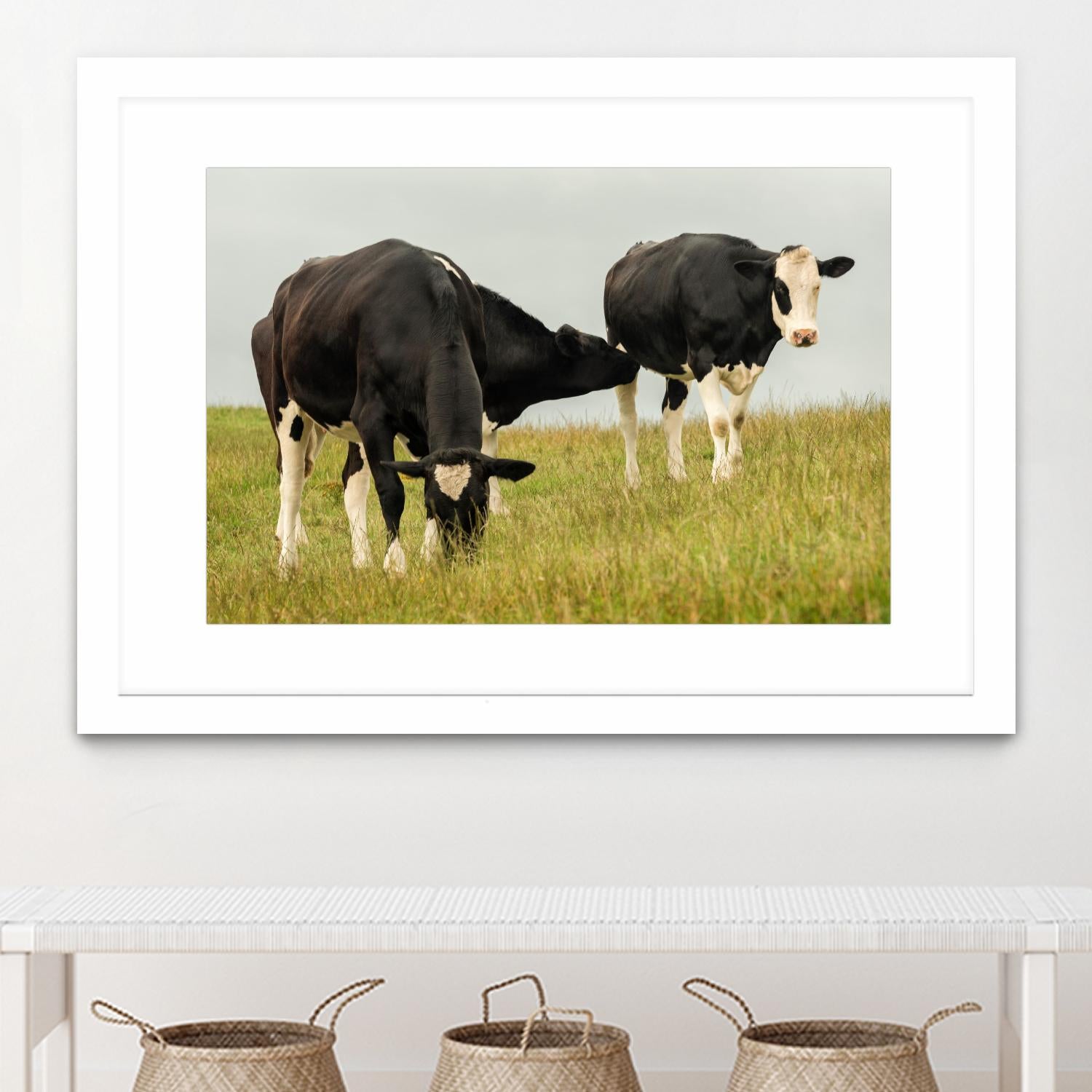 Country Cows by Andy Amos on GIANT ART - farm photography