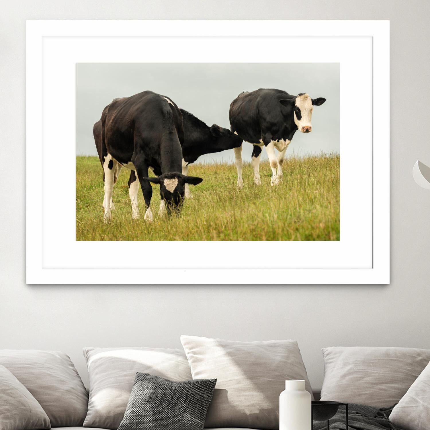 Country Cows by Andy Amos on GIANT ART - farm photography