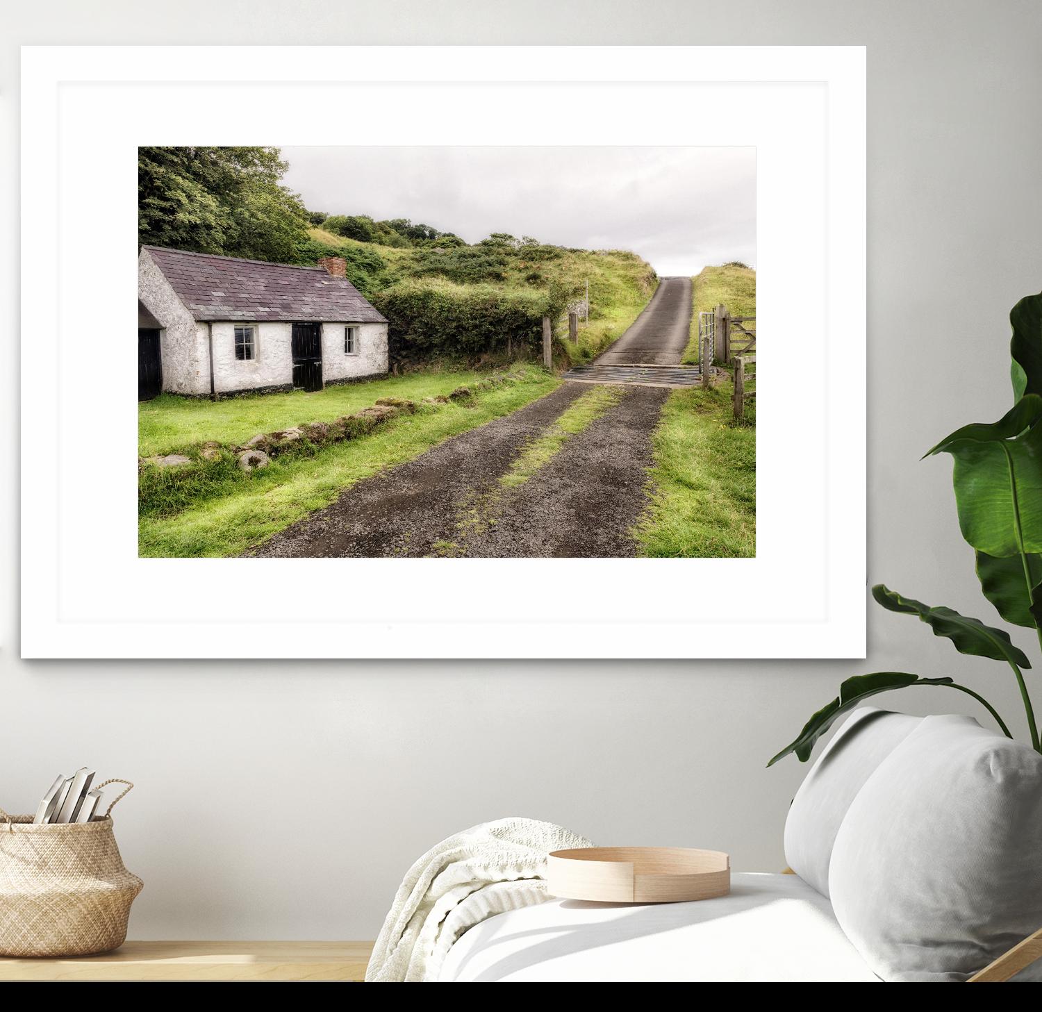 Countryside by Andy Amos on GIANT ART - photography farm