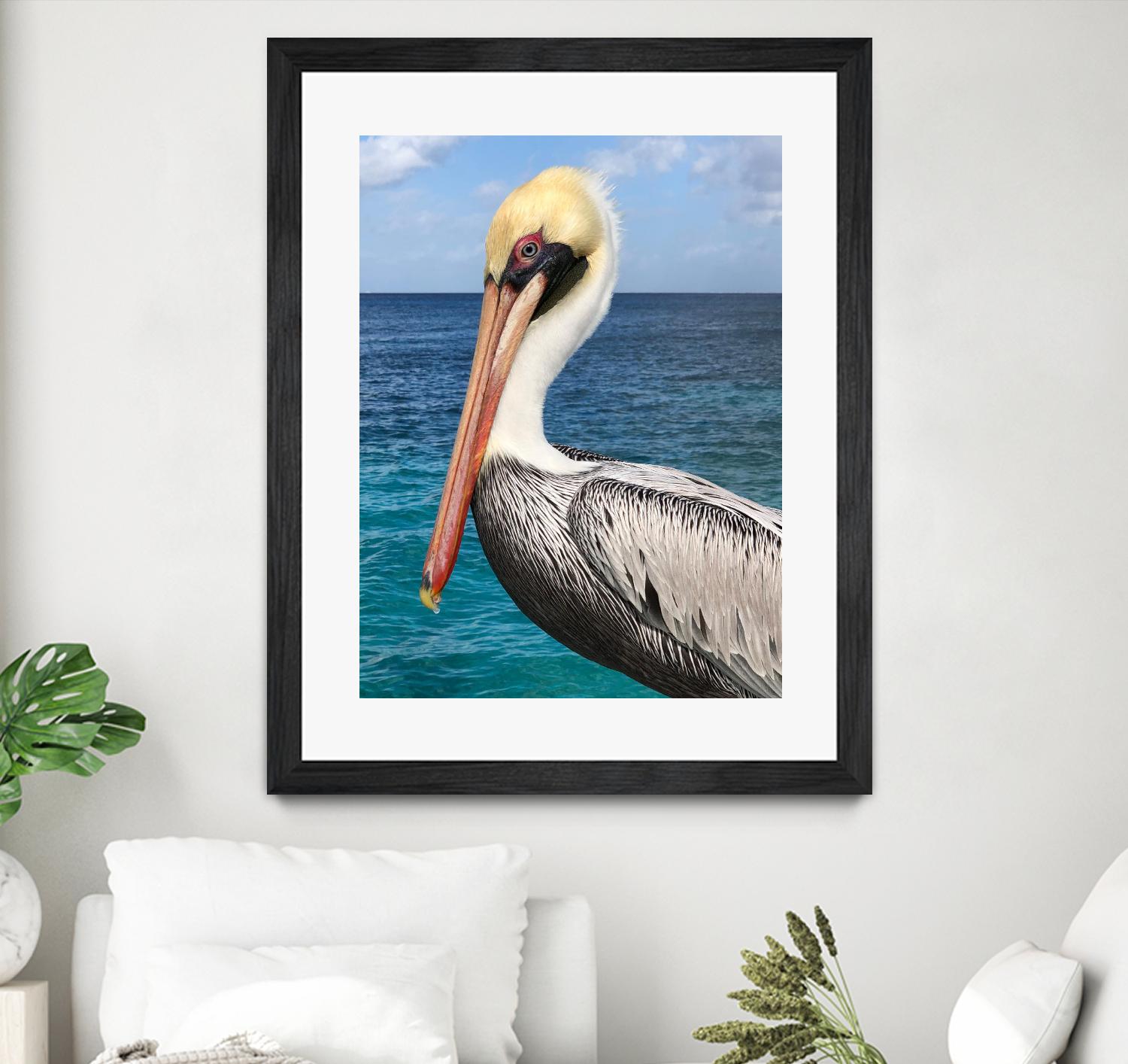 Pelican by Julie DeRice on GIANT ART - coastal photography