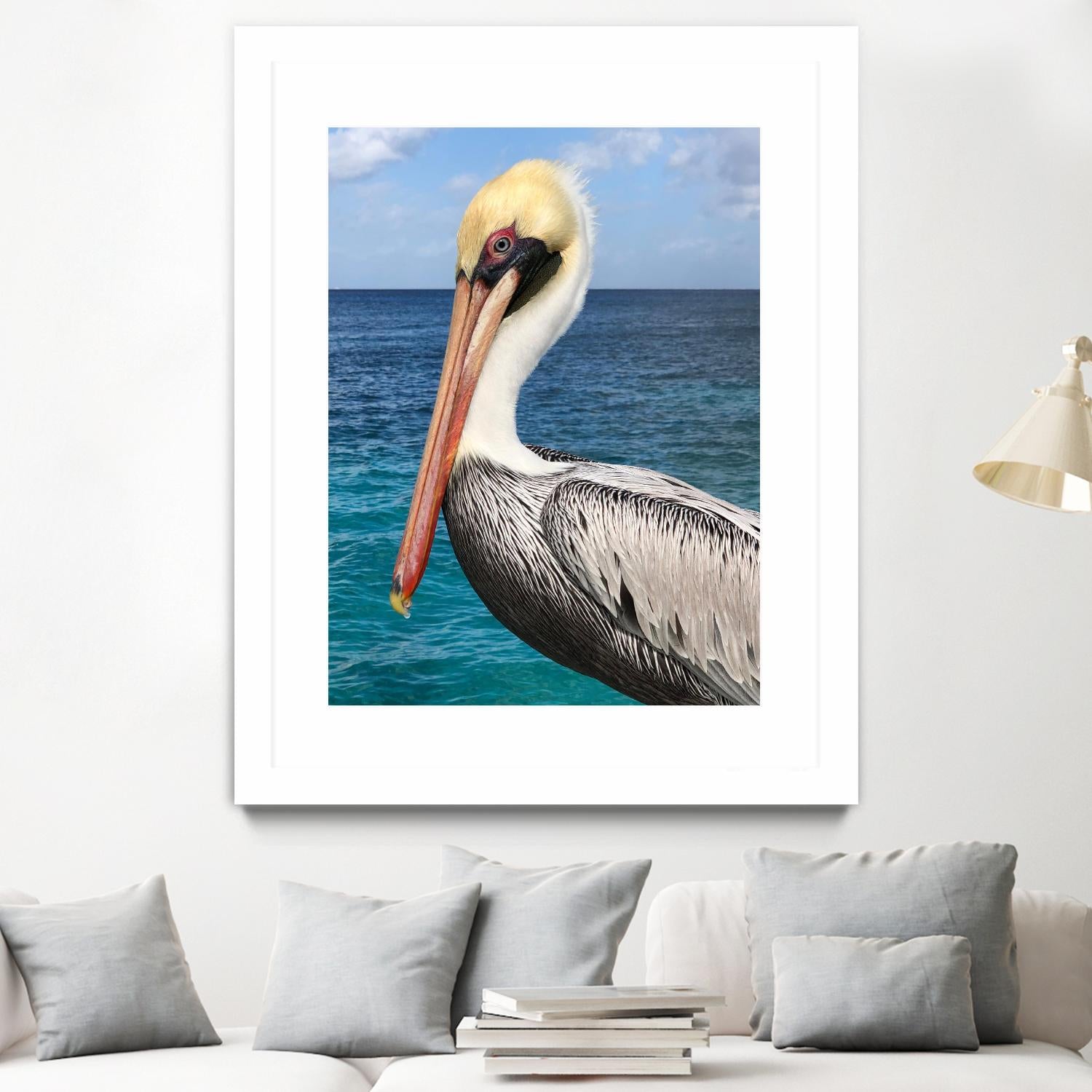 Pelican by Julie DeRice on GIANT ART - coastal photography