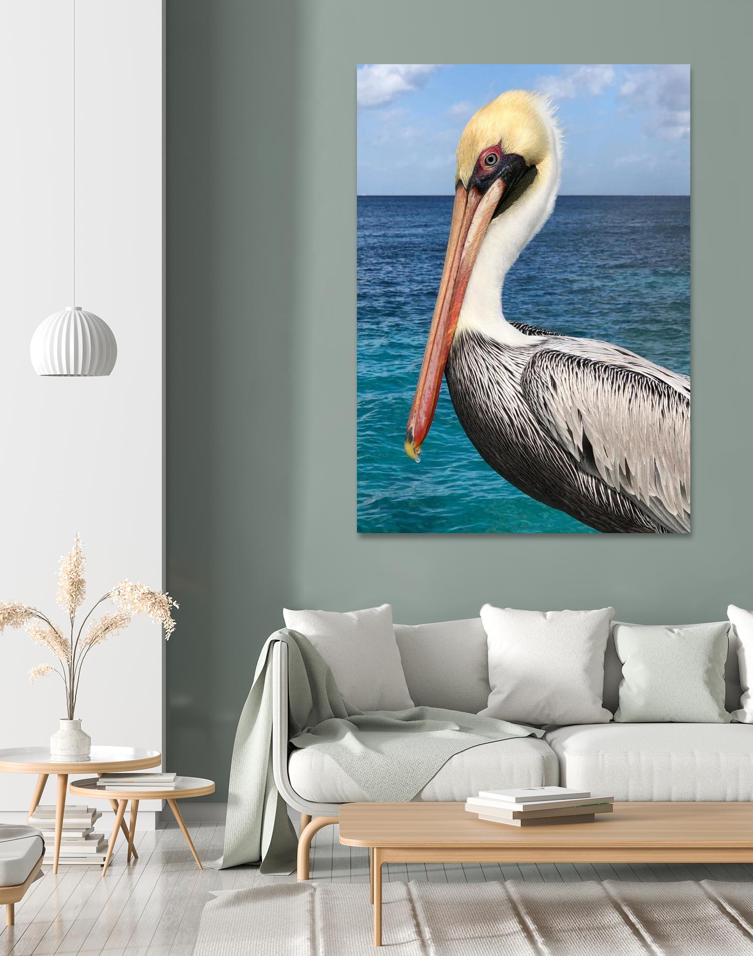 Pelican by Julie DeRice on GIANT ART - coastal photography