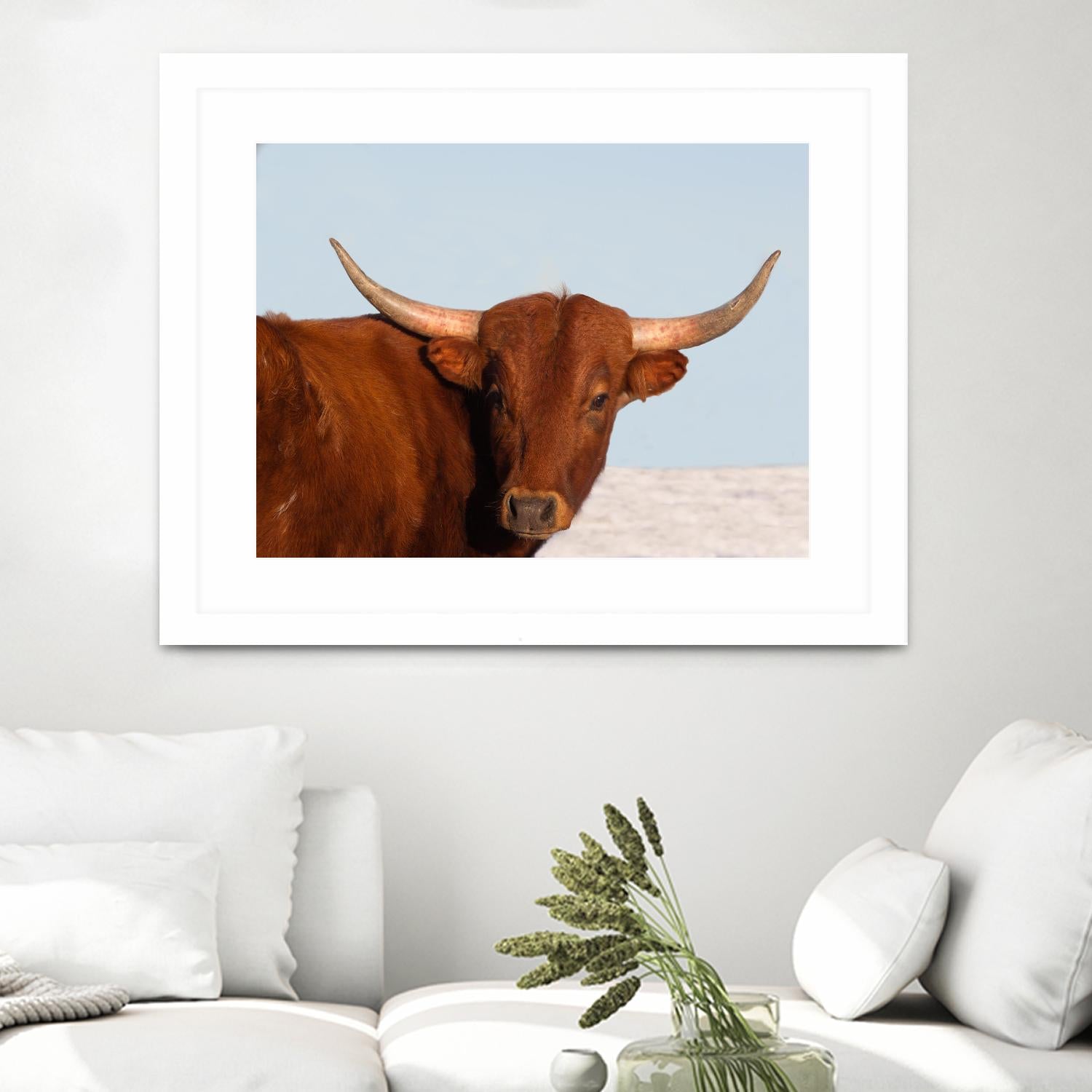 Steer by Carol Walker on GIANT ART - photography farm