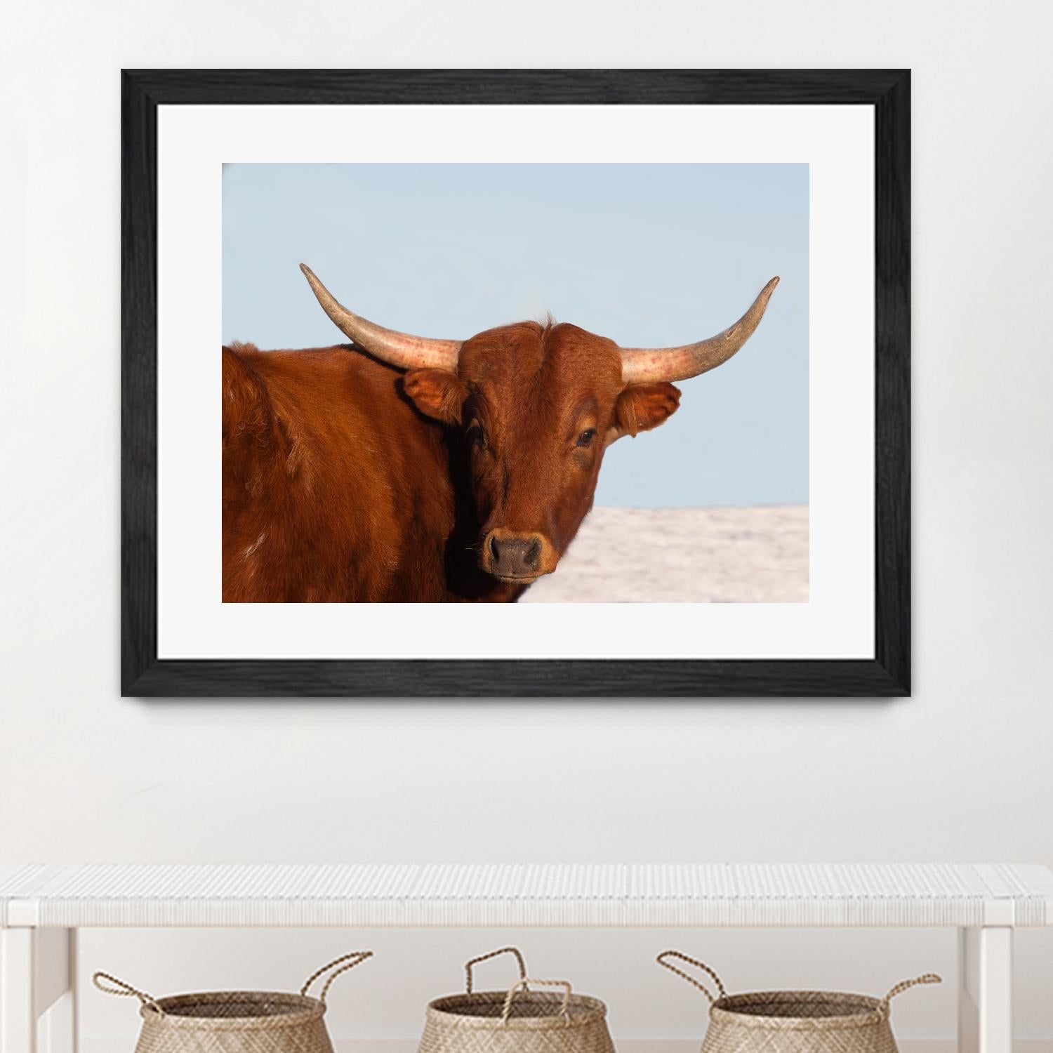 Steer by Carol Walker on GIANT ART - photography farm