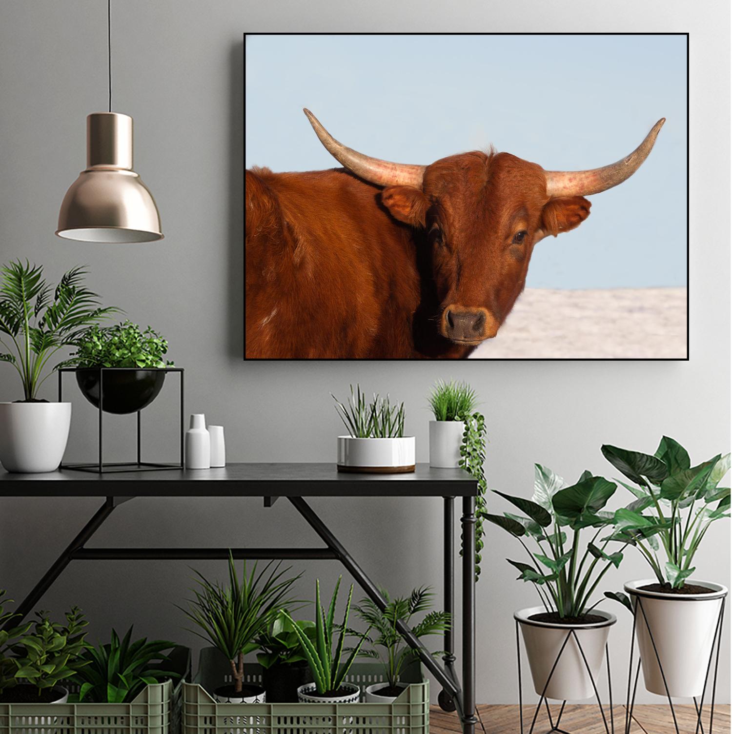 Steer by Carol Walker on GIANT ART - photography farm