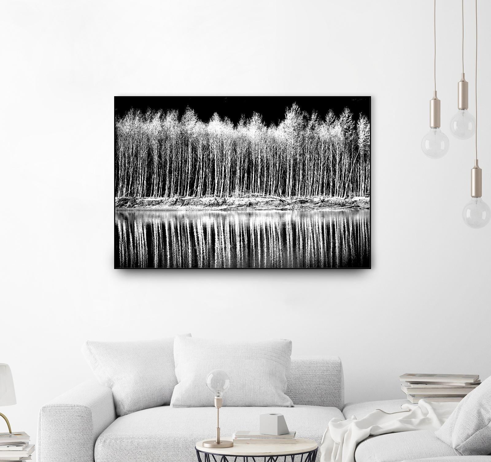 Photograph 1 by Aaron Matheson on GIANT ART - white landscape