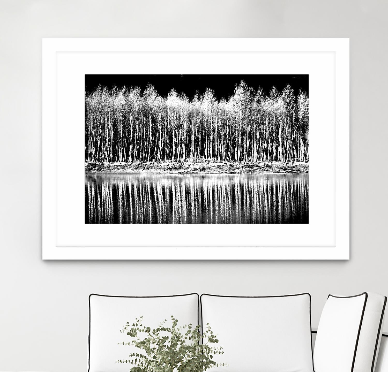 Photograph 1 by Aaron Matheson on GIANT ART - white landscape