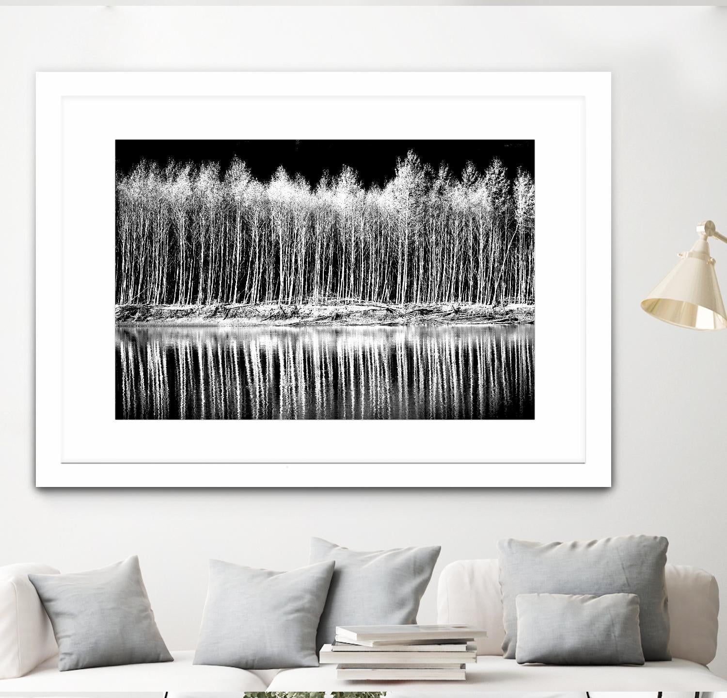 Photograph 1 by Aaron Matheson on GIANT ART - white landscape