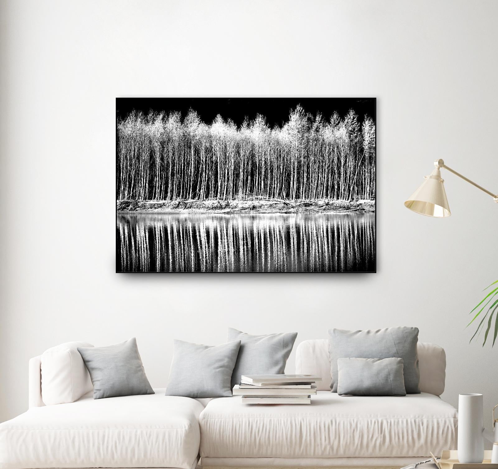 Photograph 1 by Aaron Matheson on GIANT ART - white landscape