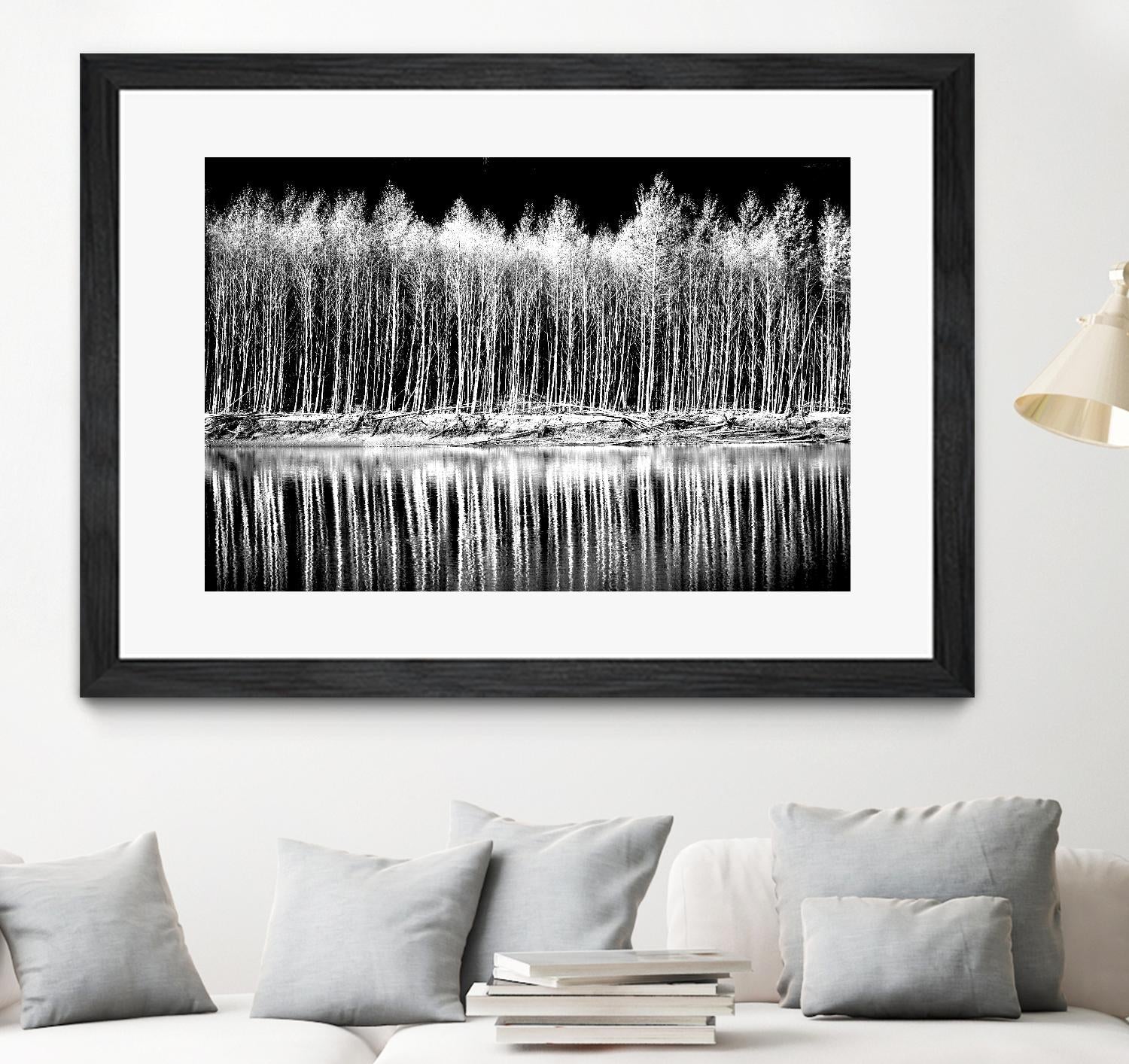 Photograph 1 by Aaron Matheson on GIANT ART - white landscape