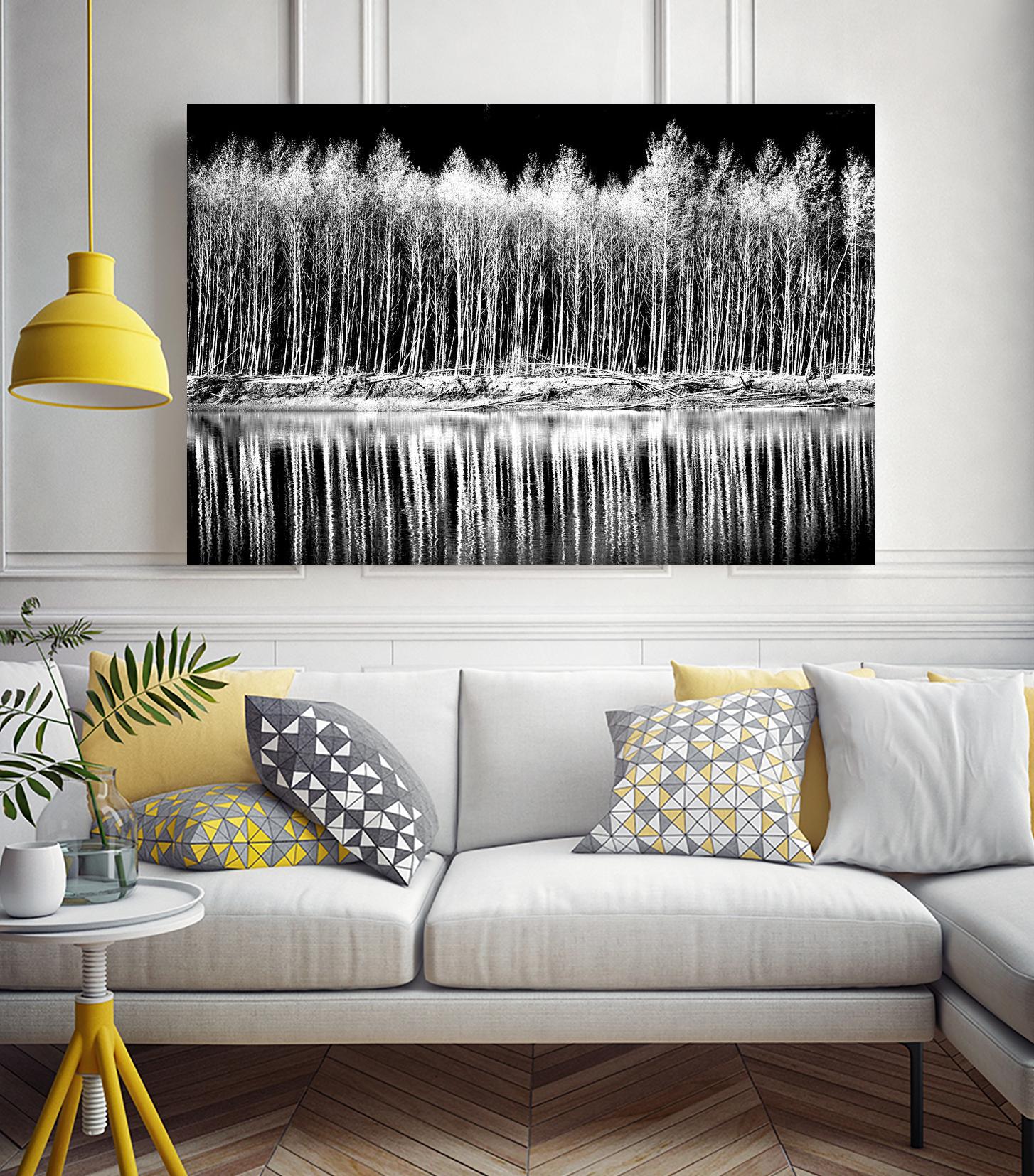 Photograph 1 by Aaron Matheson on GIANT ART - white landscape