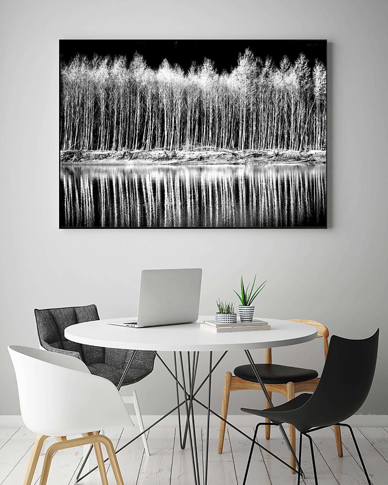 Photograph 1 by Aaron Matheson on GIANT ART - white landscape