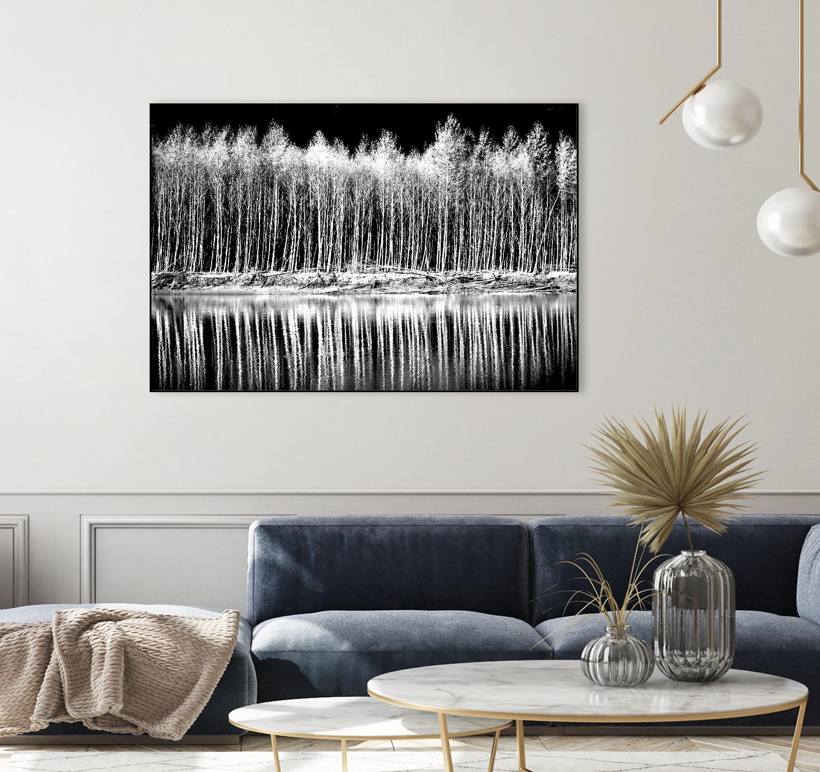 Photograph 1 by Aaron Matheson on GIANT ART - white landscape