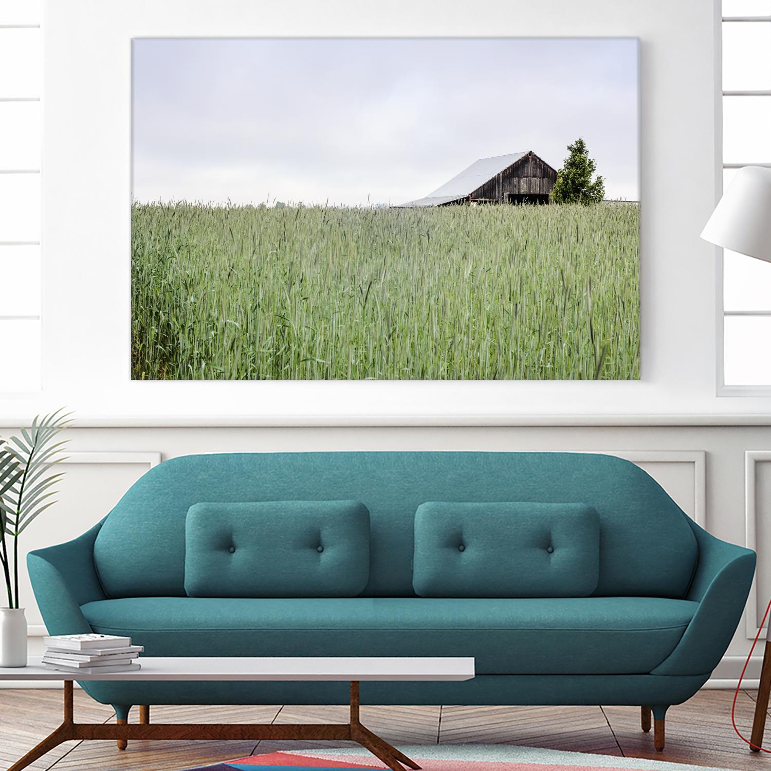 Summer Feel by Nancy Crowell on GIANT ART - grey photo art