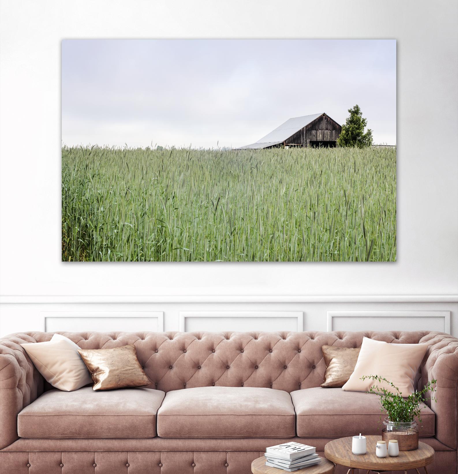 Summer Feel by Nancy Crowell on GIANT ART - grey photo art