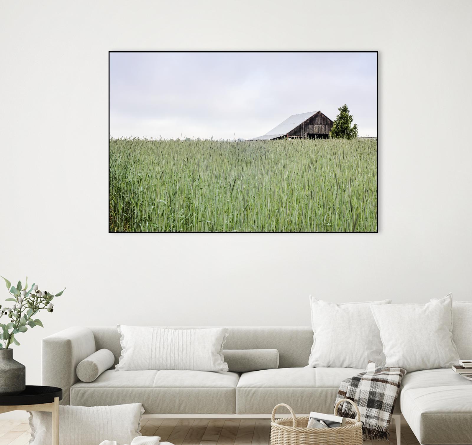 Summer Feel by Nancy Crowell on GIANT ART - grey photo art