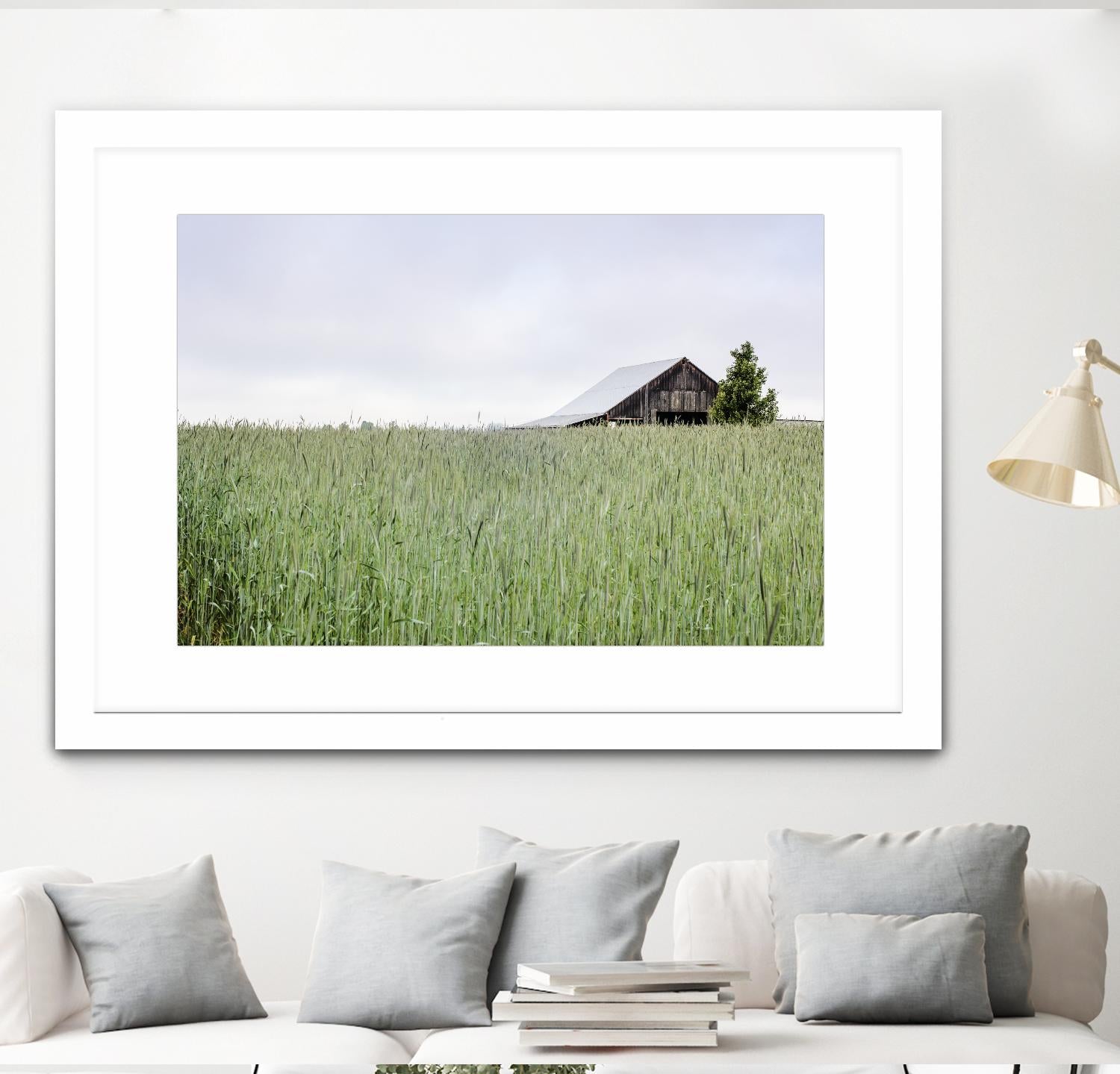 Summer Feel by Nancy Crowell on GIANT ART - grey photo art