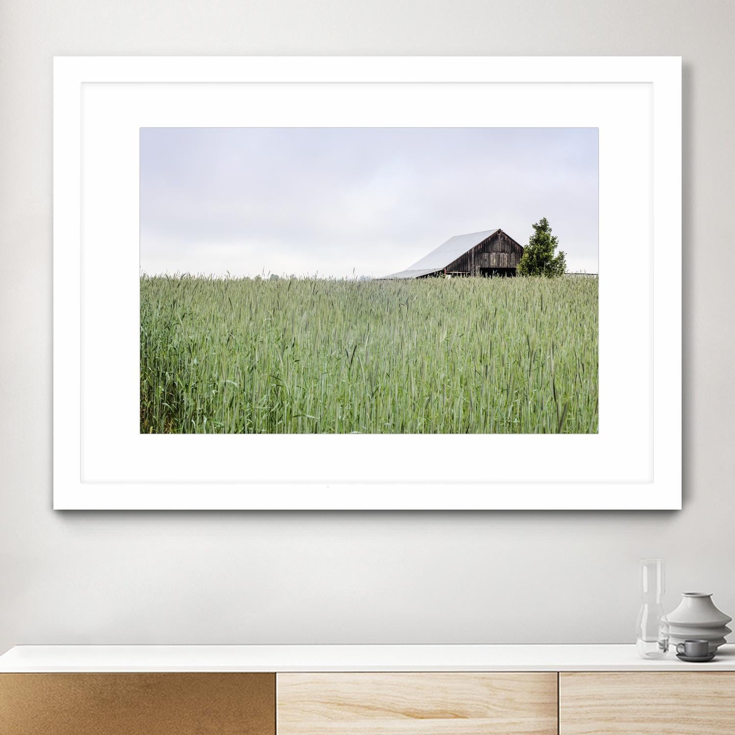 Summer Feel by Nancy Crowell on GIANT ART - grey photo art