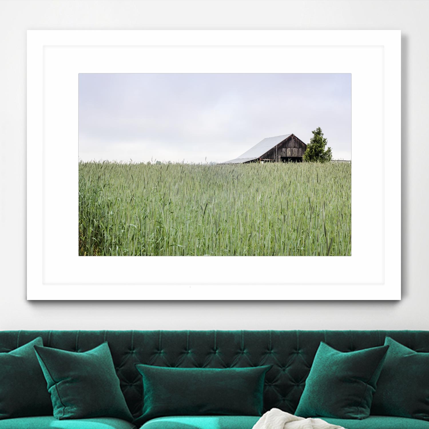 Summer Feel by Nancy Crowell on GIANT ART - grey photo art