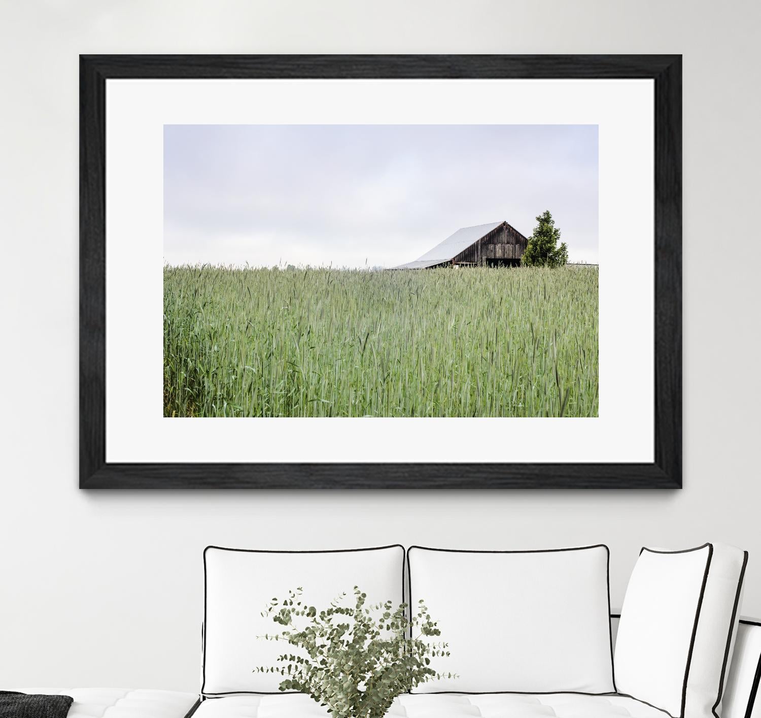 Summer Feel by Nancy Crowell on GIANT ART - grey photo art