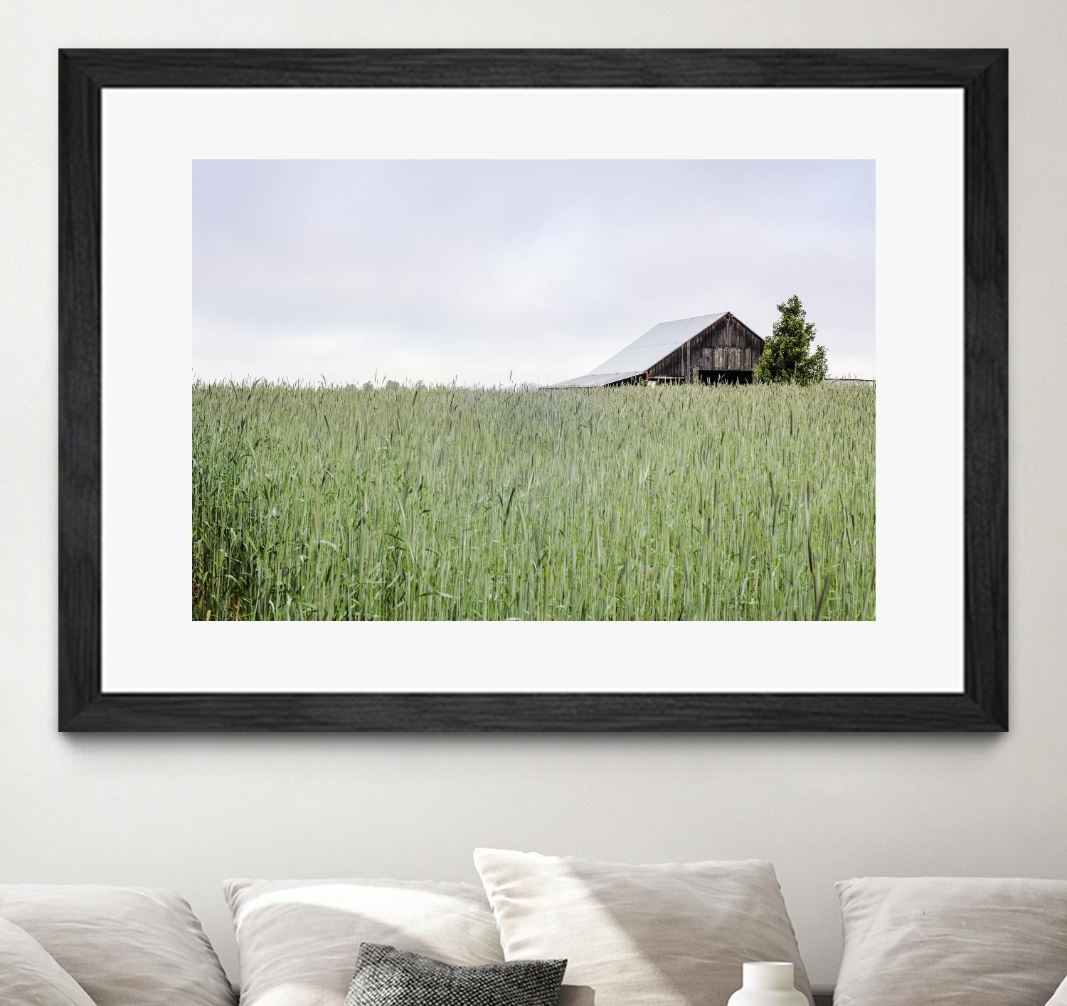 Summer Feel by Nancy Crowell on GIANT ART - grey photo art