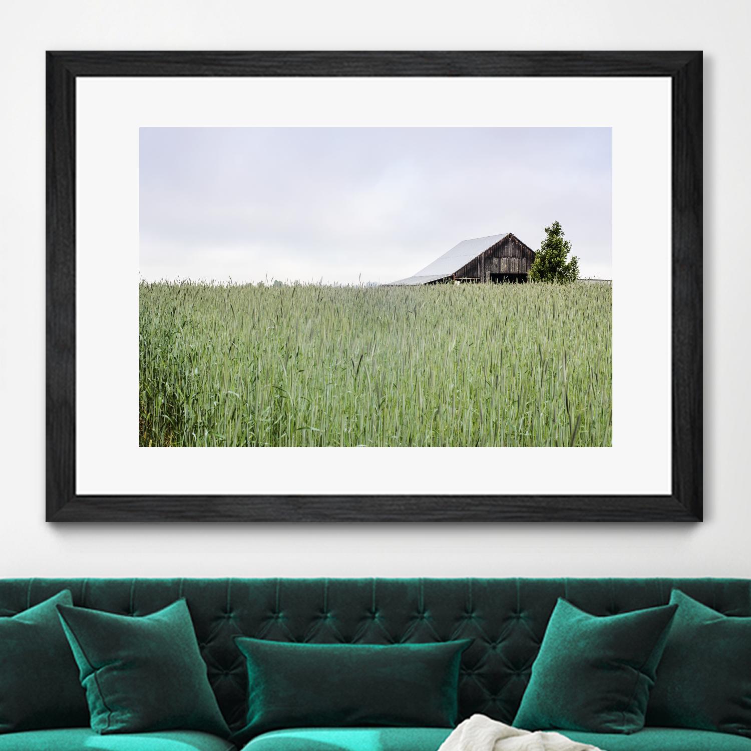 Summer Feel by Nancy Crowell on GIANT ART - grey photo art