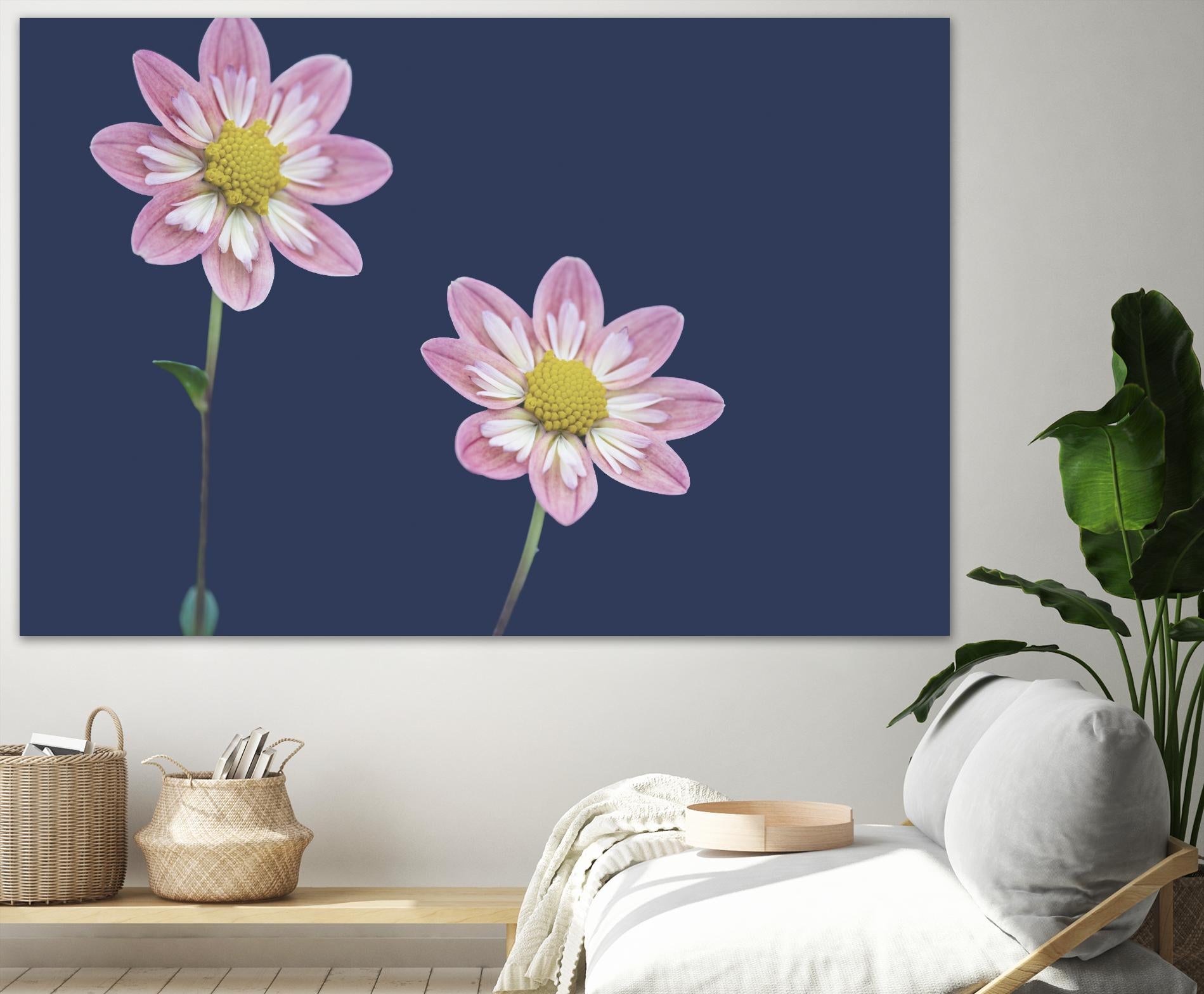 Ready for the Day by Nancy Crowell on GIANT ART - florals