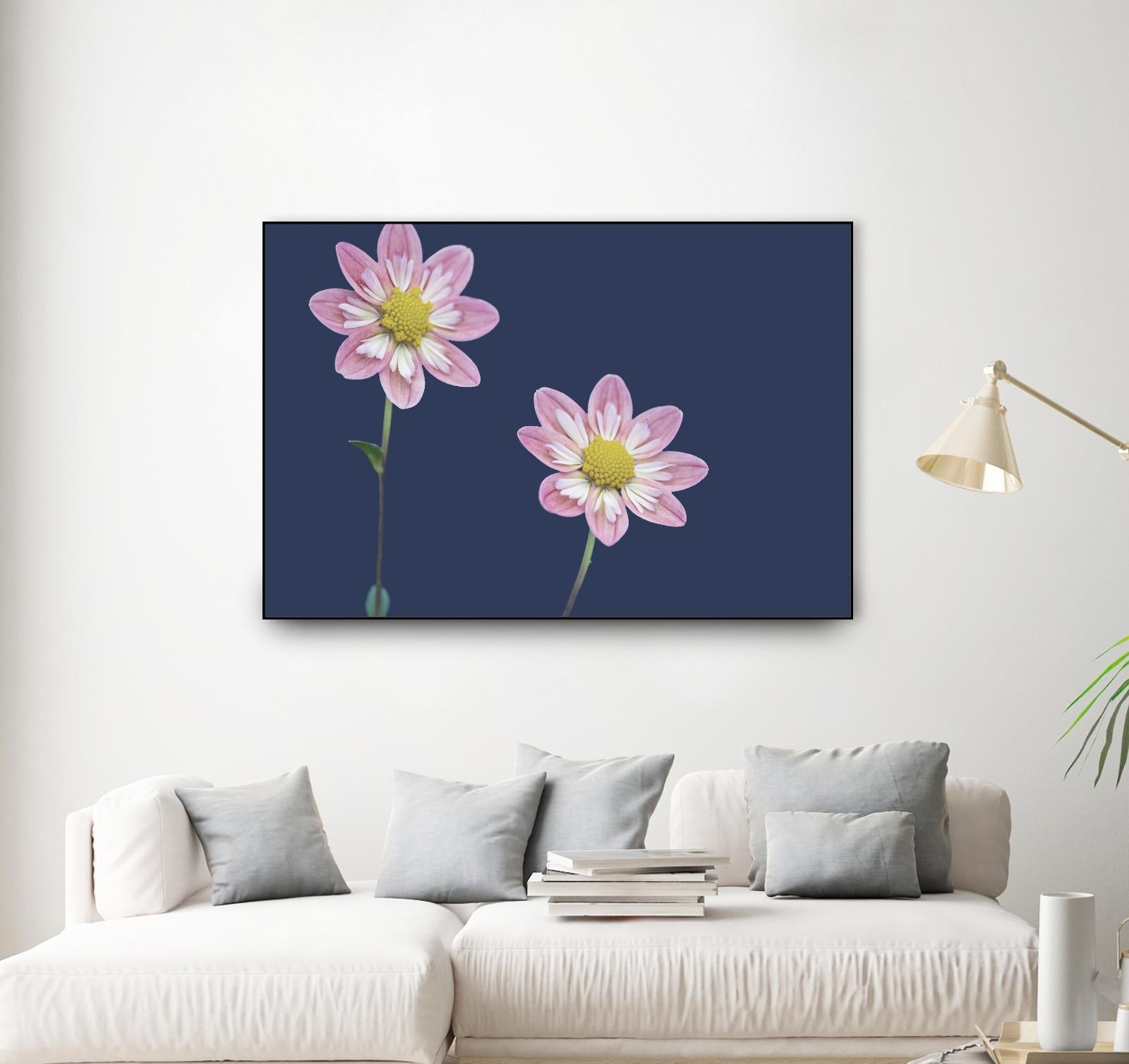 Ready for the Day by Nancy Crowell on GIANT ART - florals