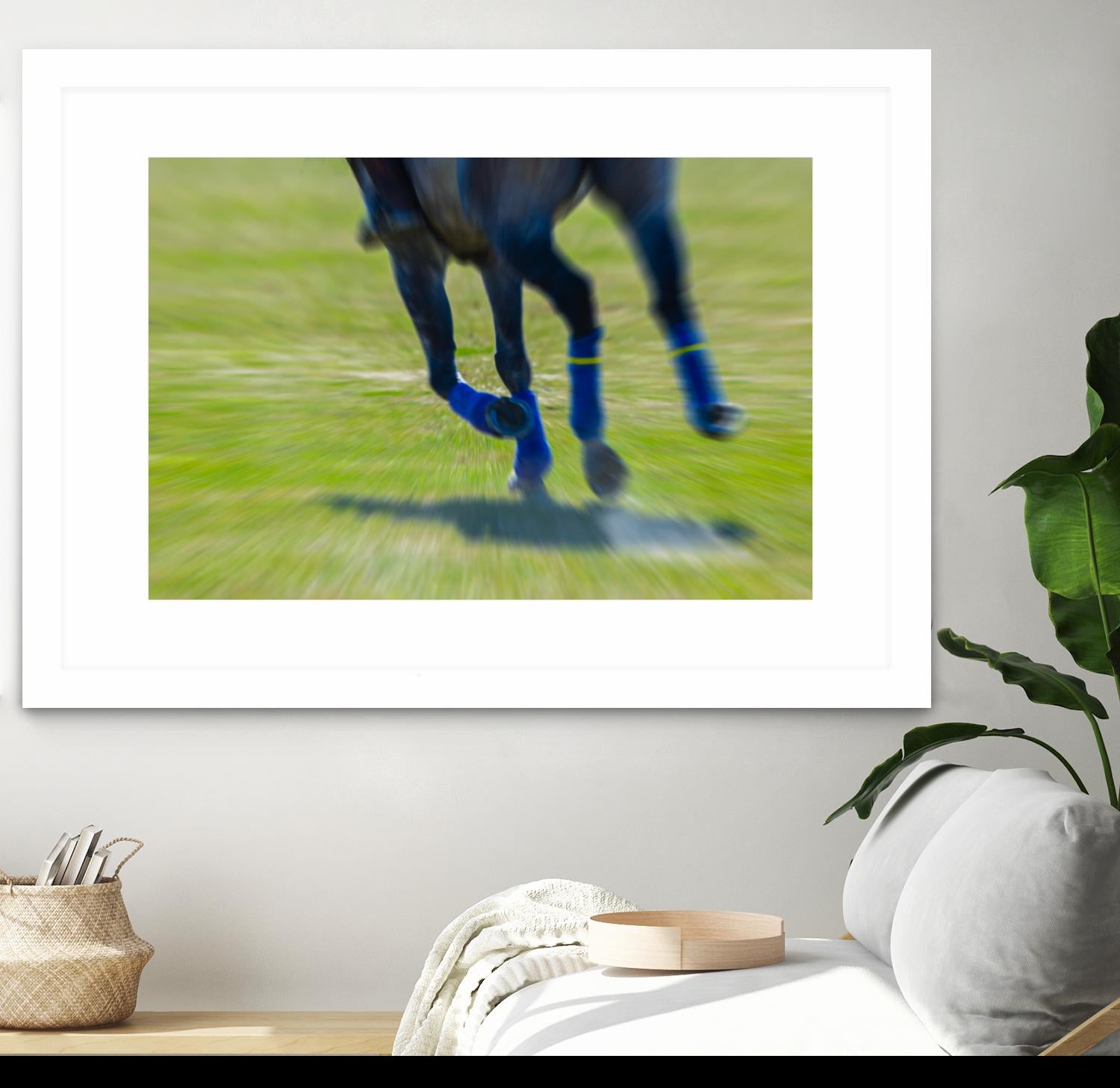 Photograph 2 by Nancy Crowell on GIANT ART - green animals horse