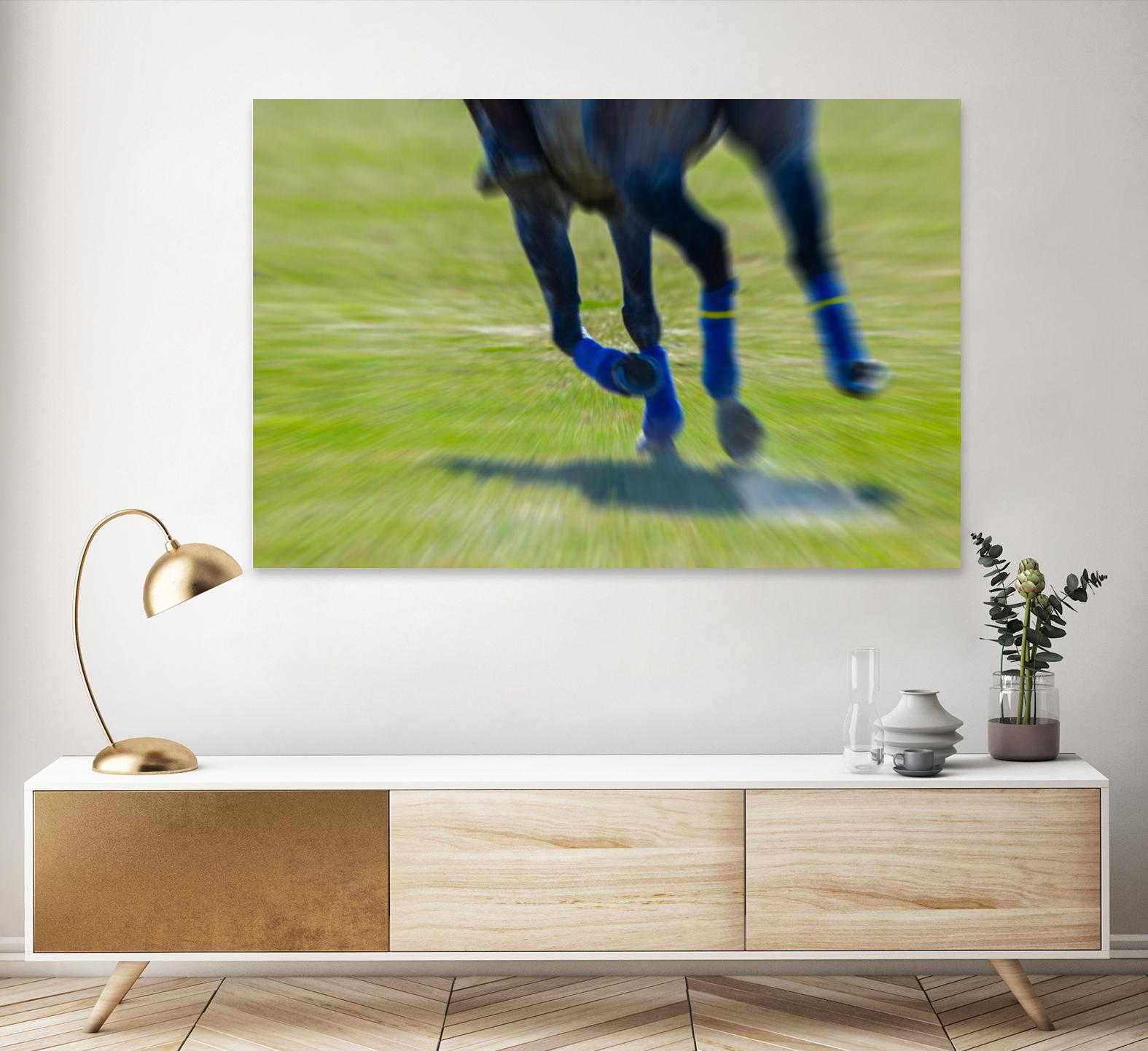 Photograph 2 by Nancy Crowell on GIANT ART - green animals horse