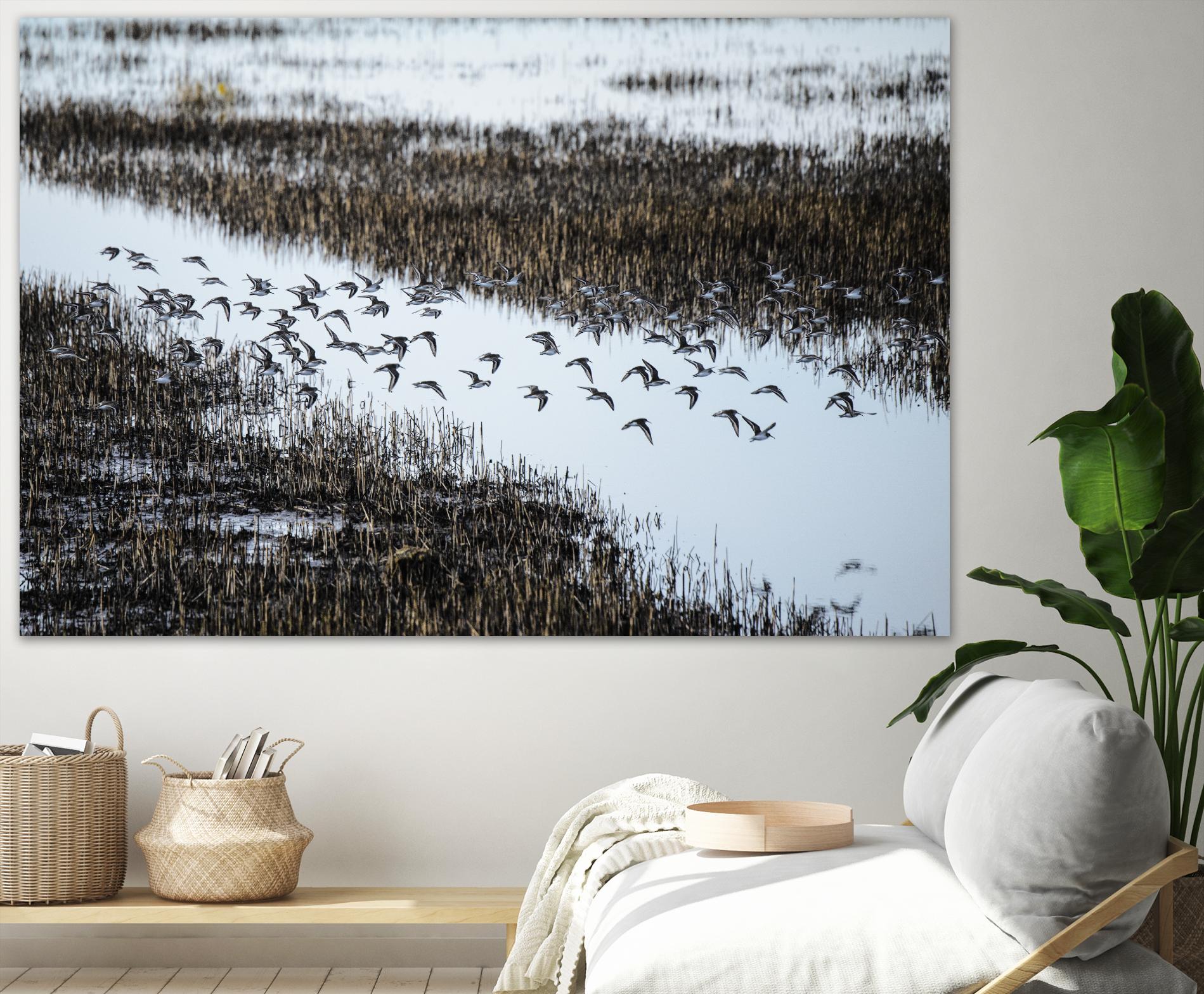 Flock by Nancy Crowell on GIANT ART - blue landscape