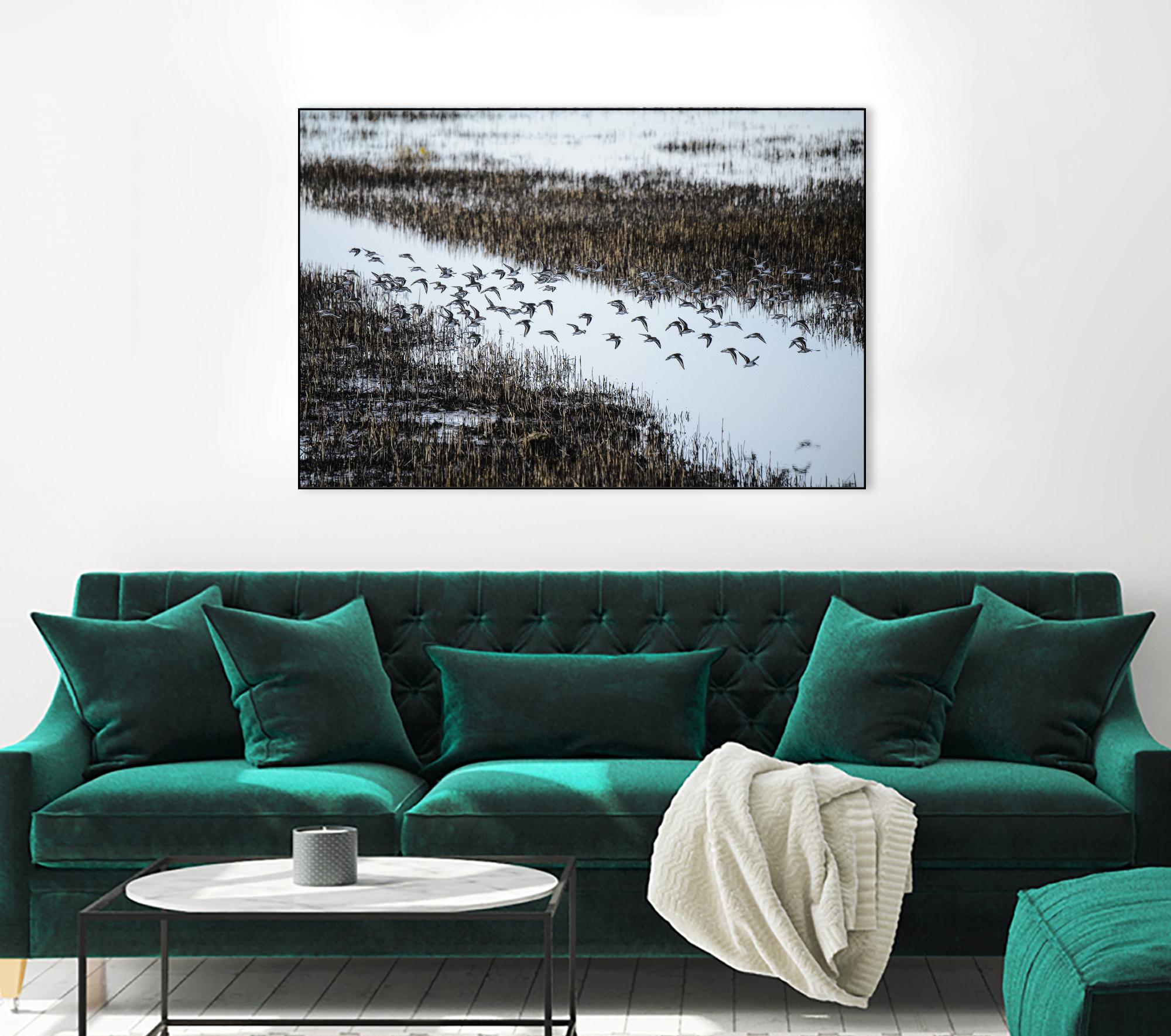 Flock by Nancy Crowell on GIANT ART - blue landscape